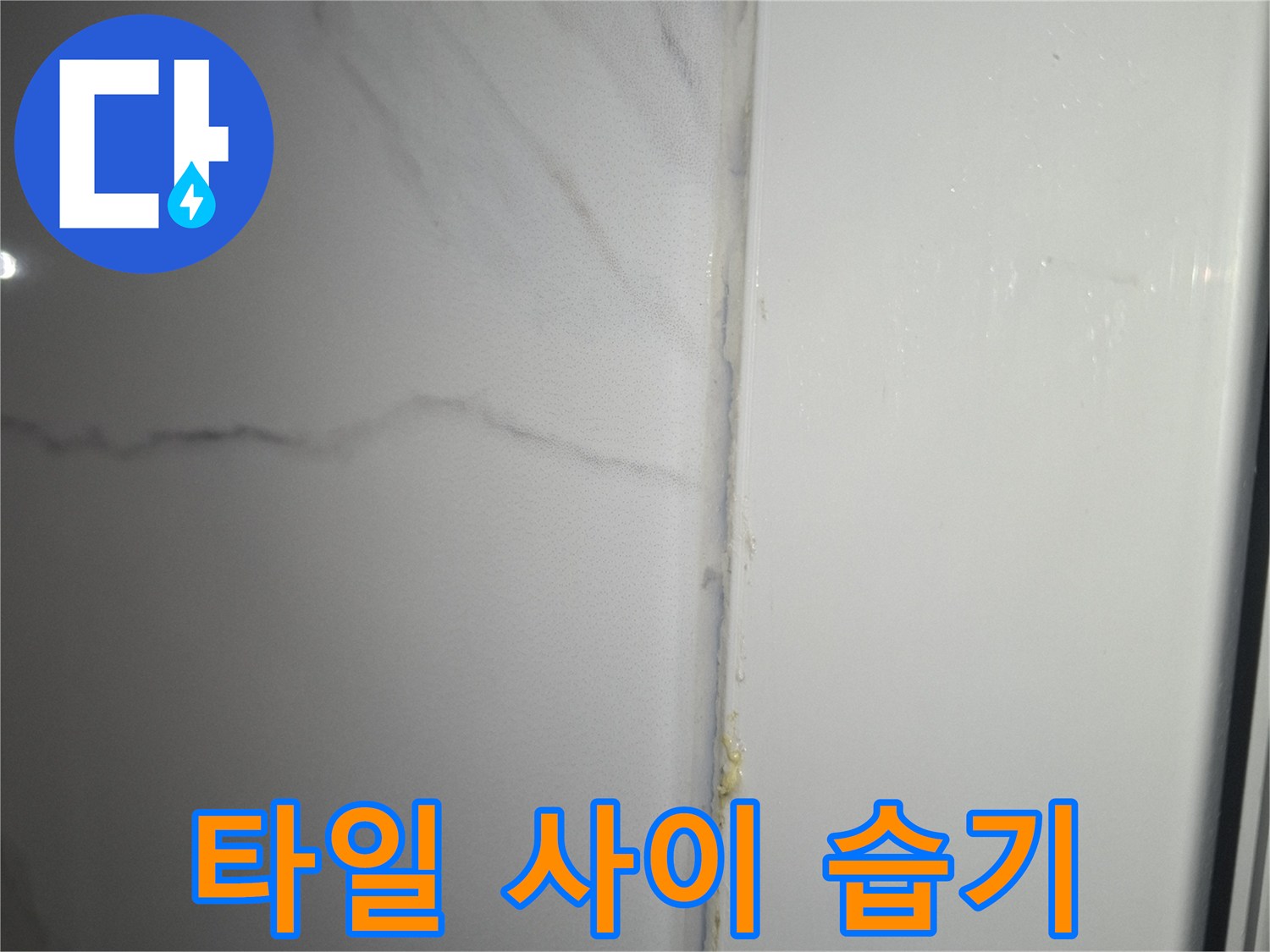 타일 틈새로 스며든 물기의 흔적