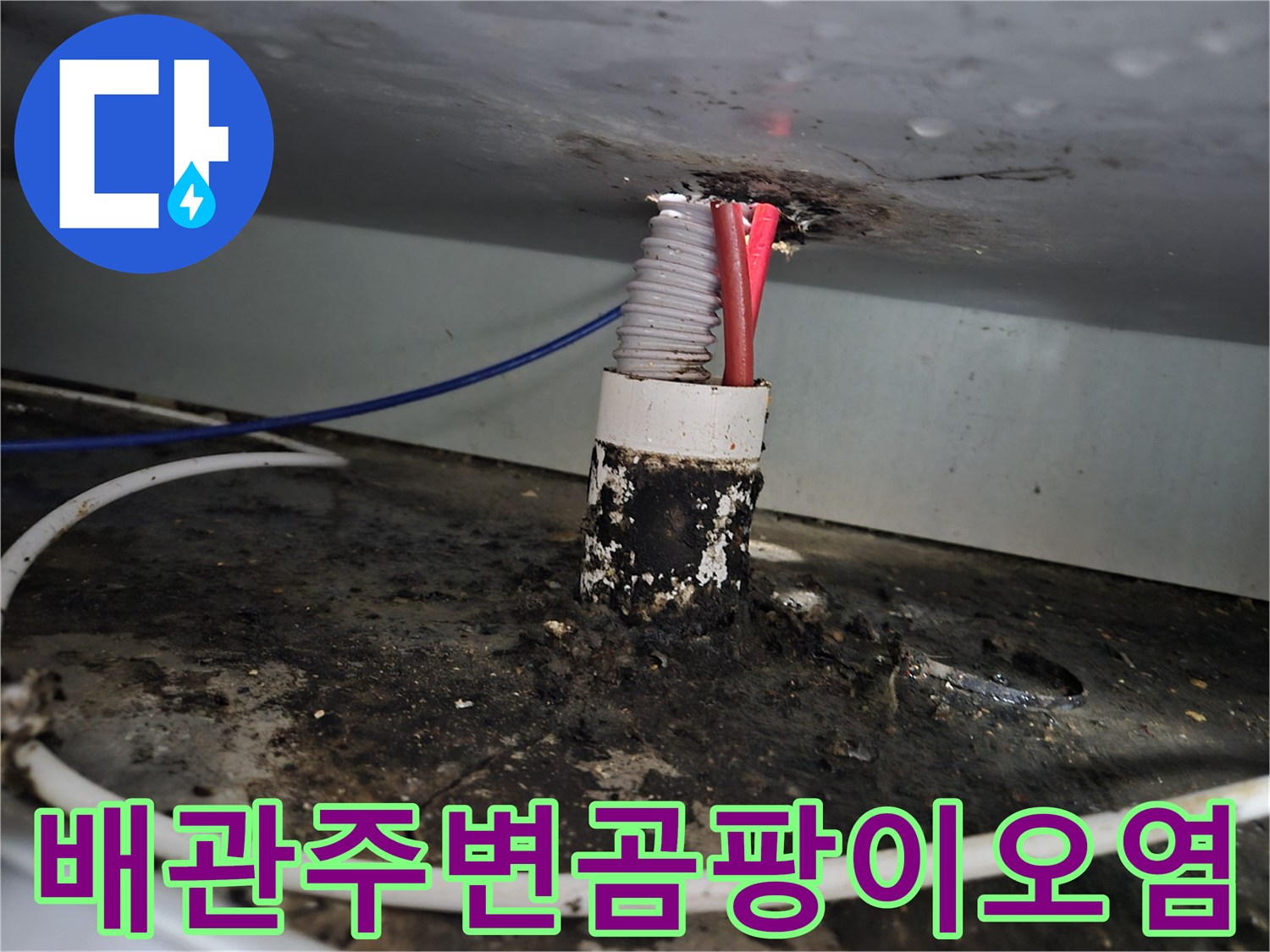 하수구-배관-연결부-누수-흔적-상세