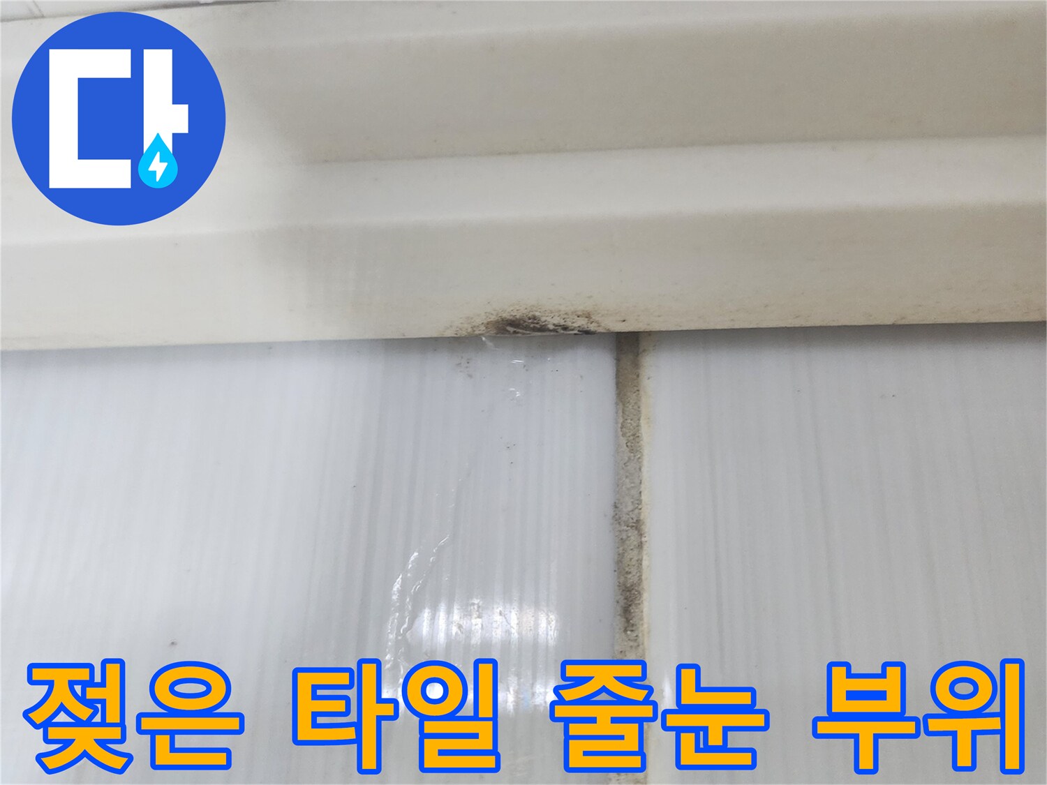 타일-경계-틈새의-습기-머금은-모습