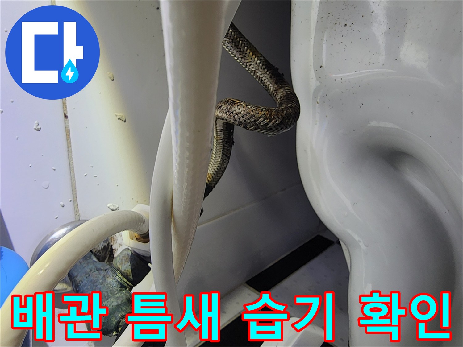 배관-사이의-젖은-부위-정밀-관찰