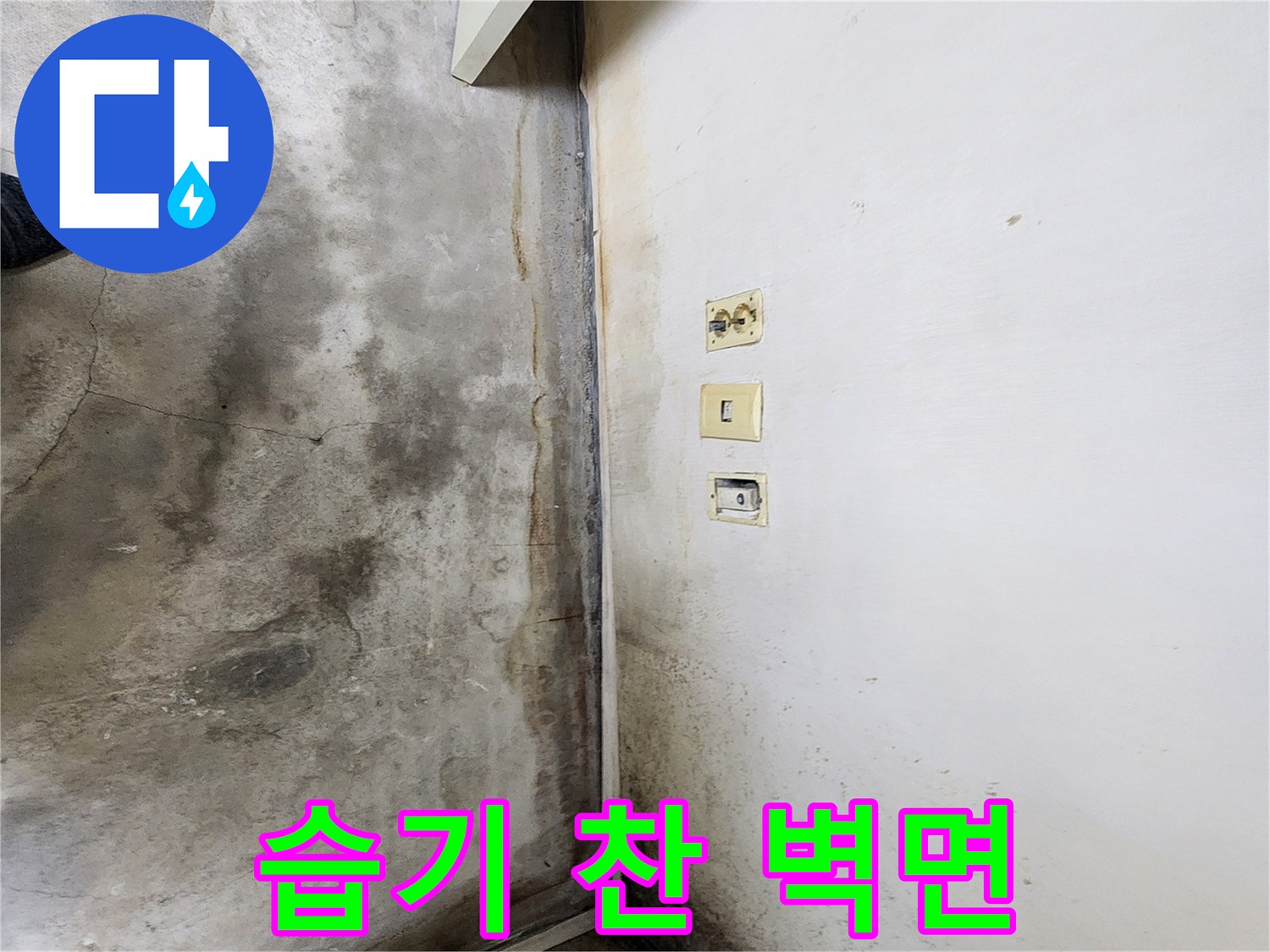 학성동 현장 사진-곰팡이가 발생한 벽체 하단부