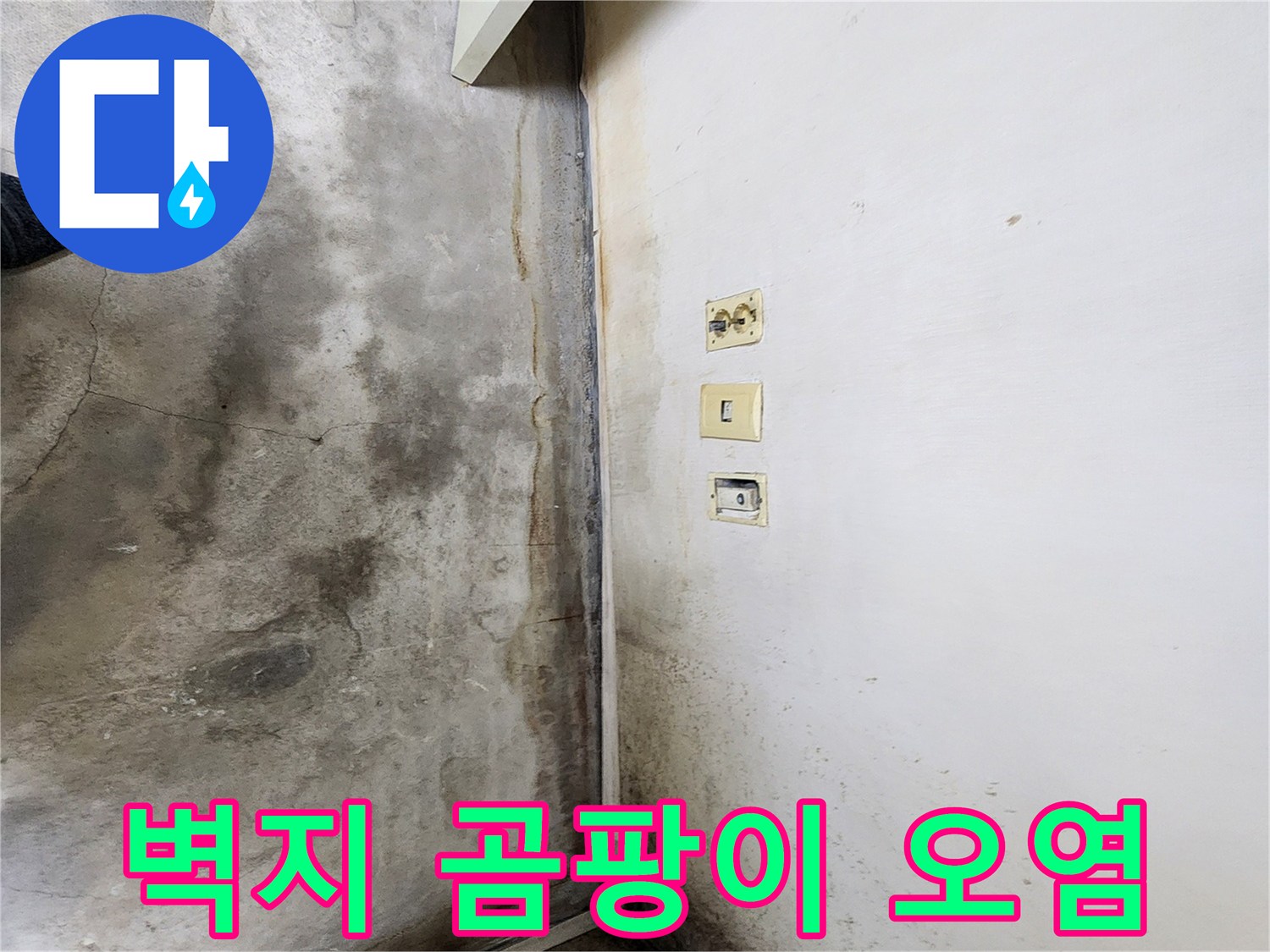학성동 현장-콘센트 아래쪽의 젖은 벽면 하단