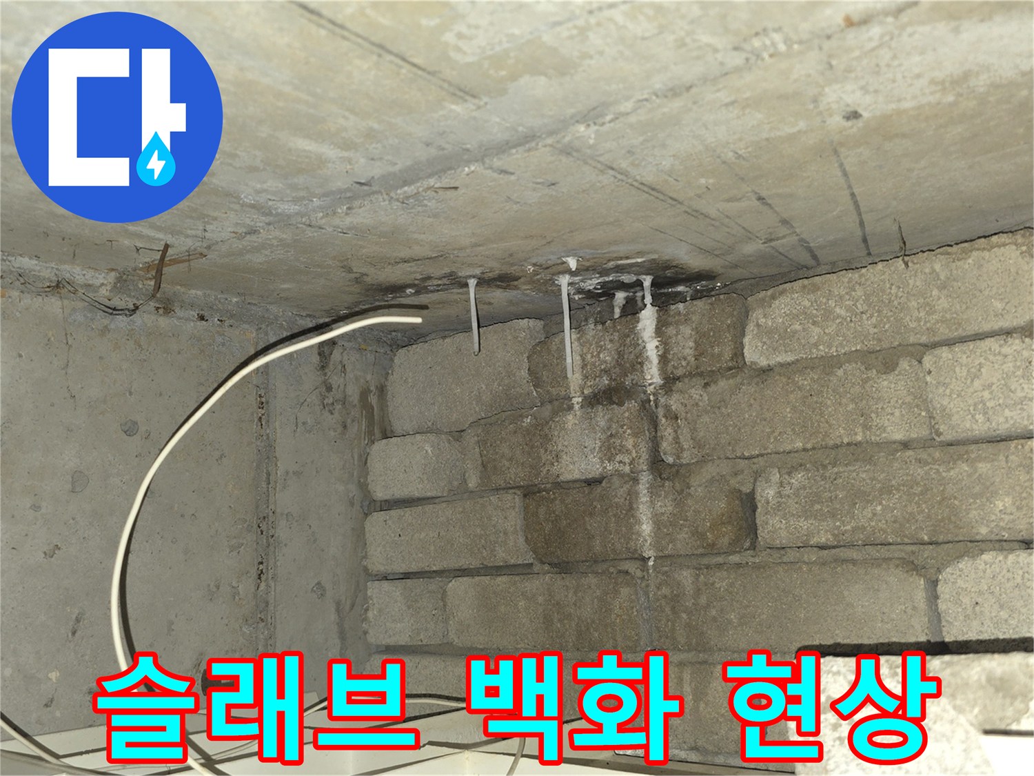 천장 콘크리트-하얀색 백화 침착물
