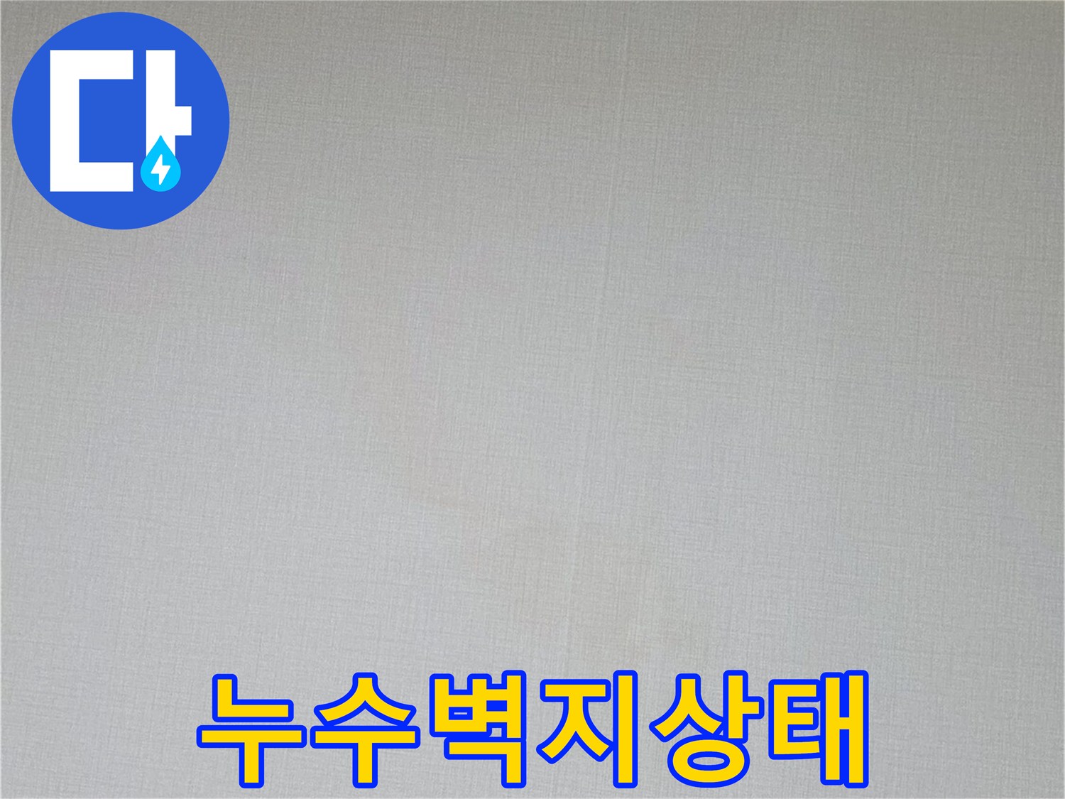 천장-벽면-벽지-변색-현황