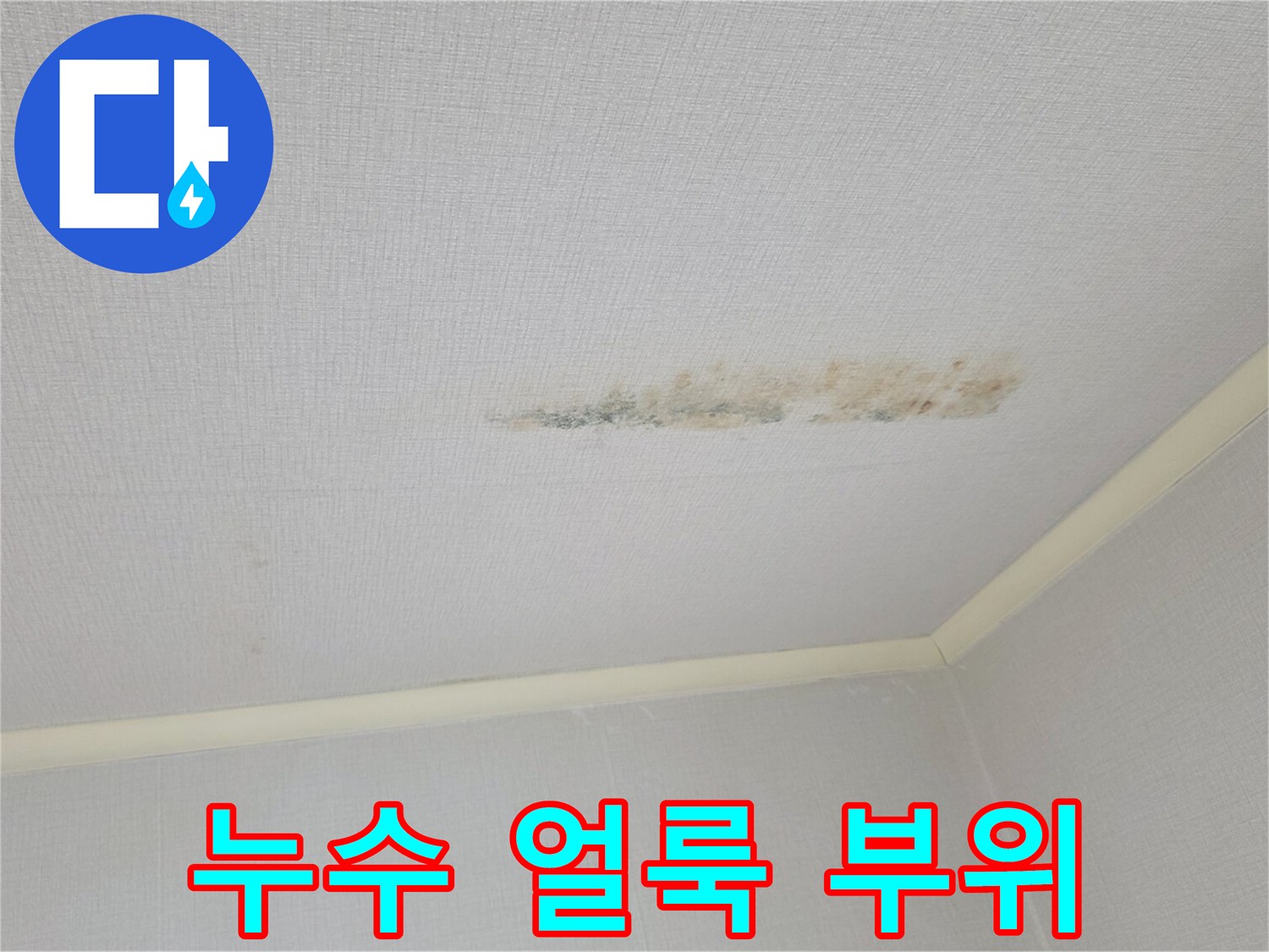 천장-벽지-중앙의-누수-변색-부위