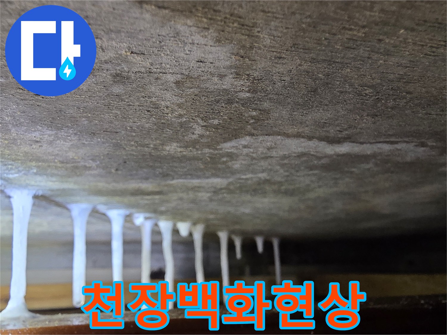 천장-슬래브-사이로-흘러내린-하얀색-석회물