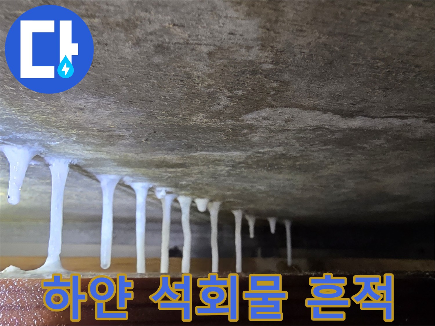 천장 슬래브에 형성된 하얀색 백화 현상