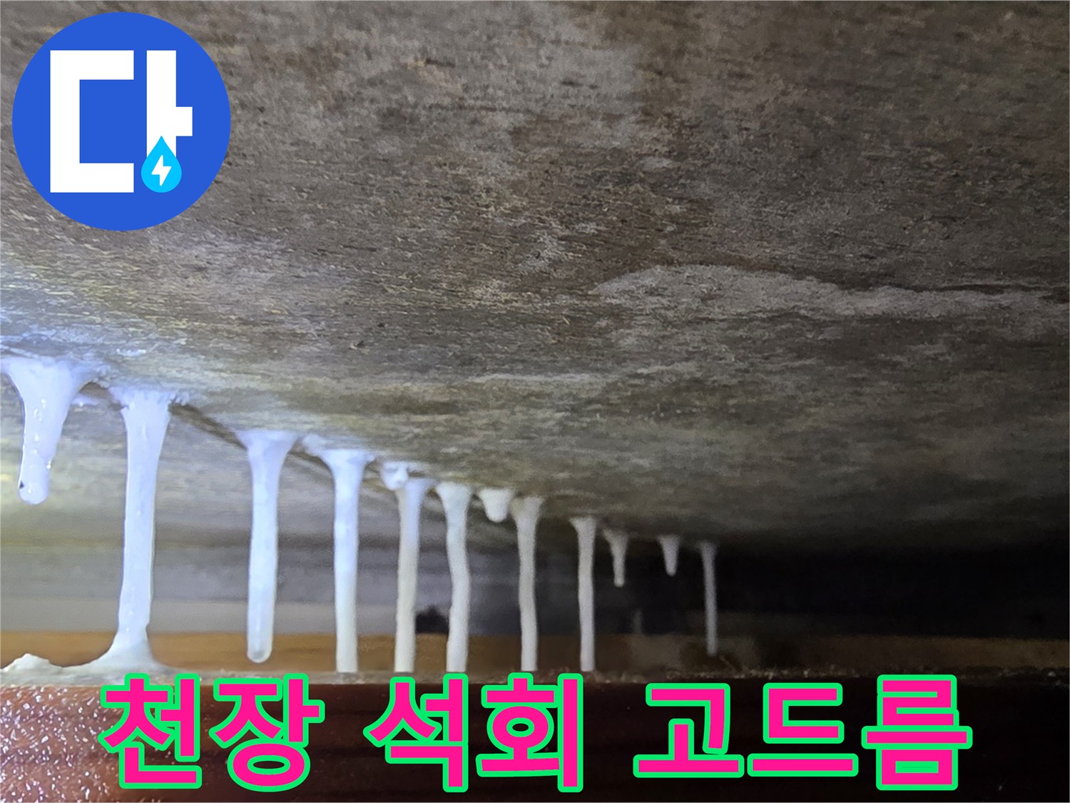 콘크리트 천장에서 흘러내린 석회물-고드름 현상