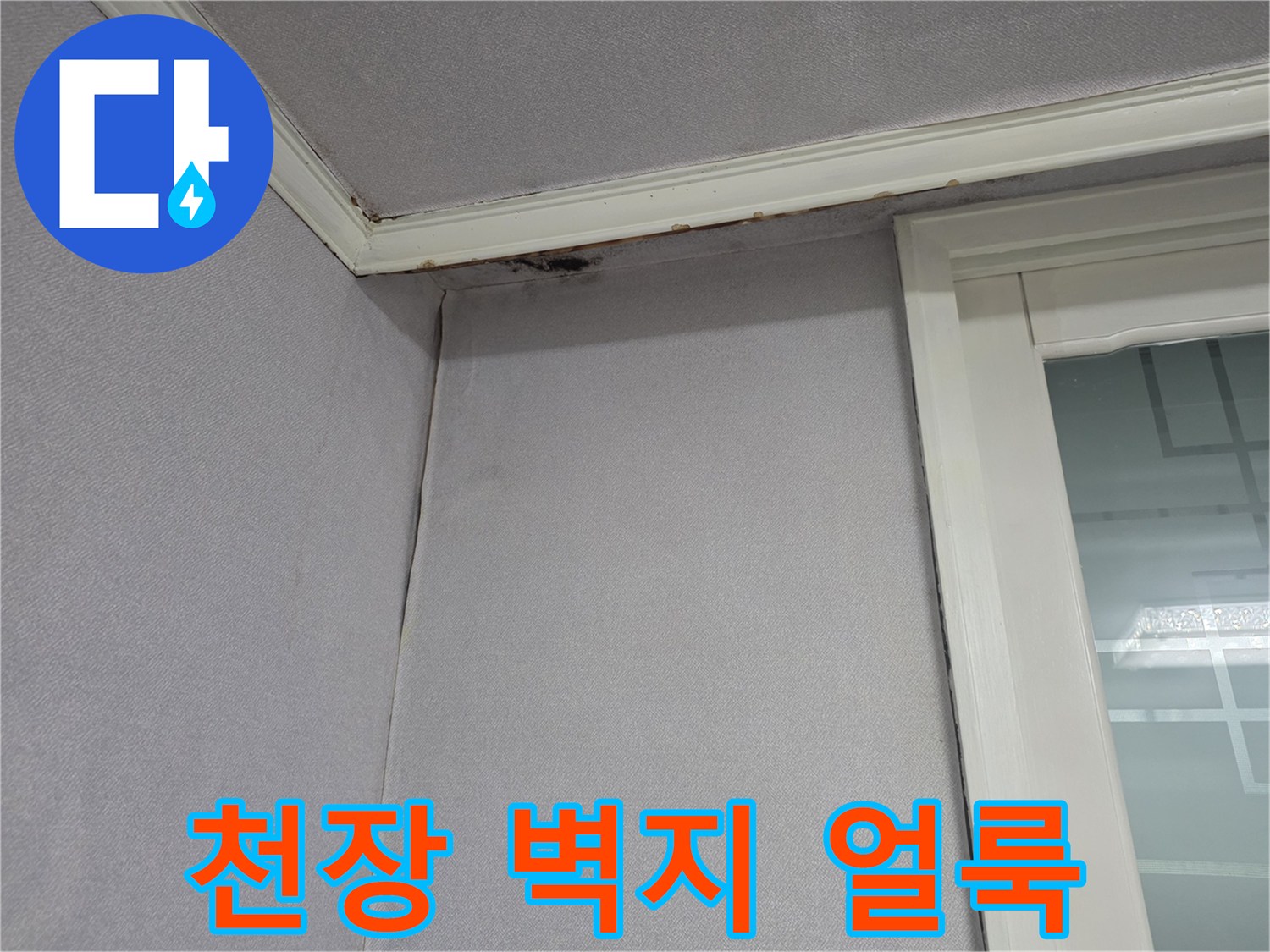 아랫집-천장-벽지-상단-물자국-현황