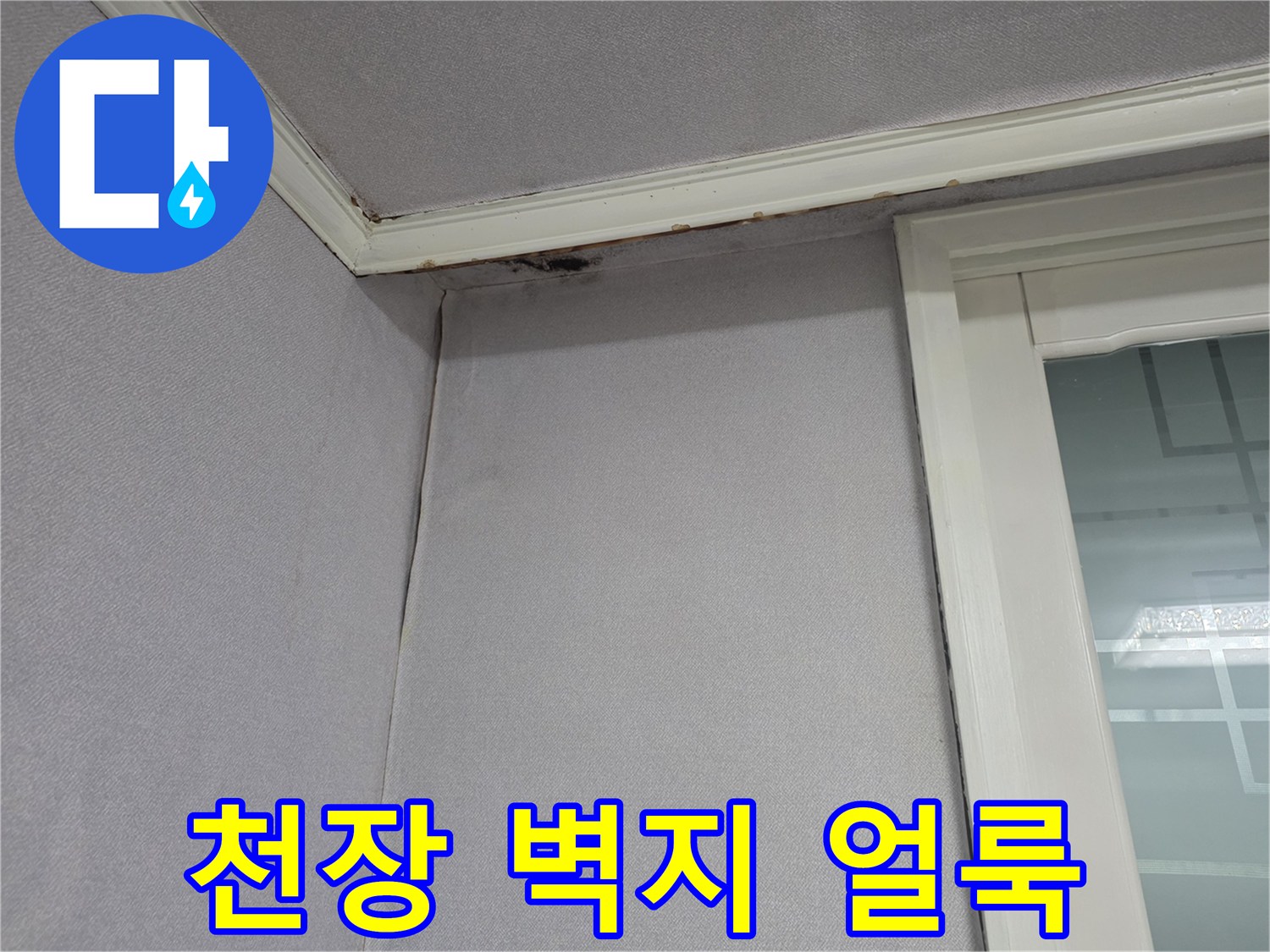 아파트-천장-코너-부분-젖음-현상