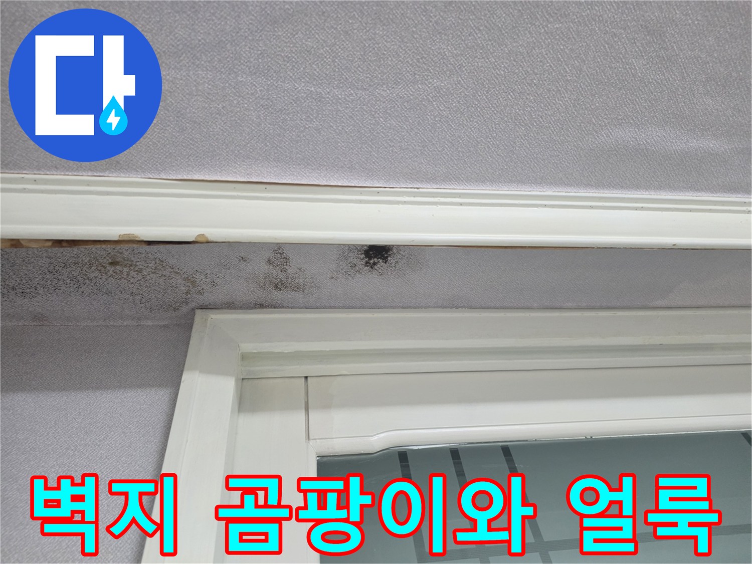 창문 위쪽 몰딩-벽지 곰팡이 침식 상태