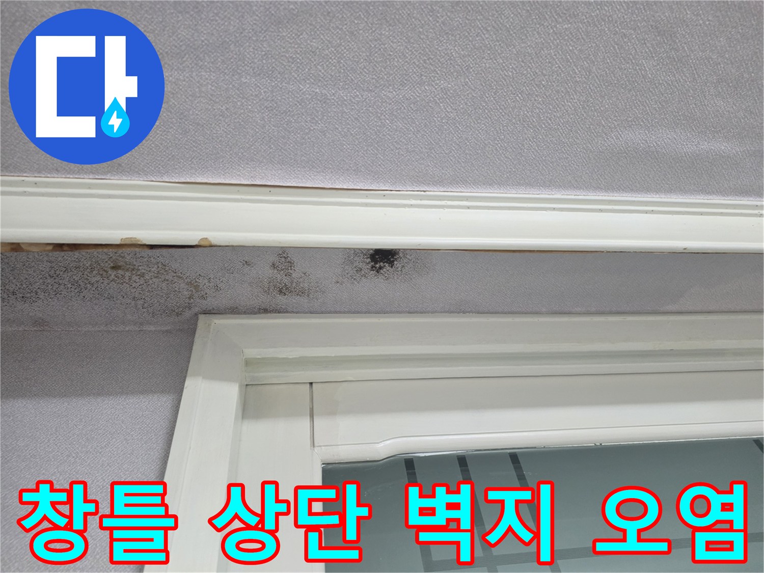 천장 몰딩 하단-검은 곰팡이와 물자국