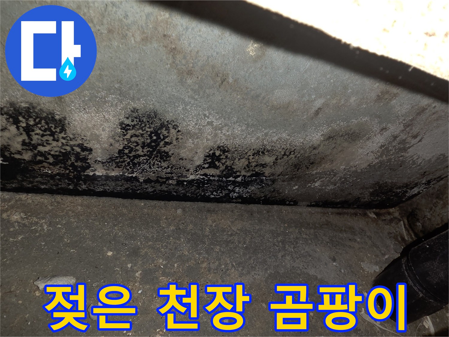누수로-인해-심하게-오염된-천장-표면