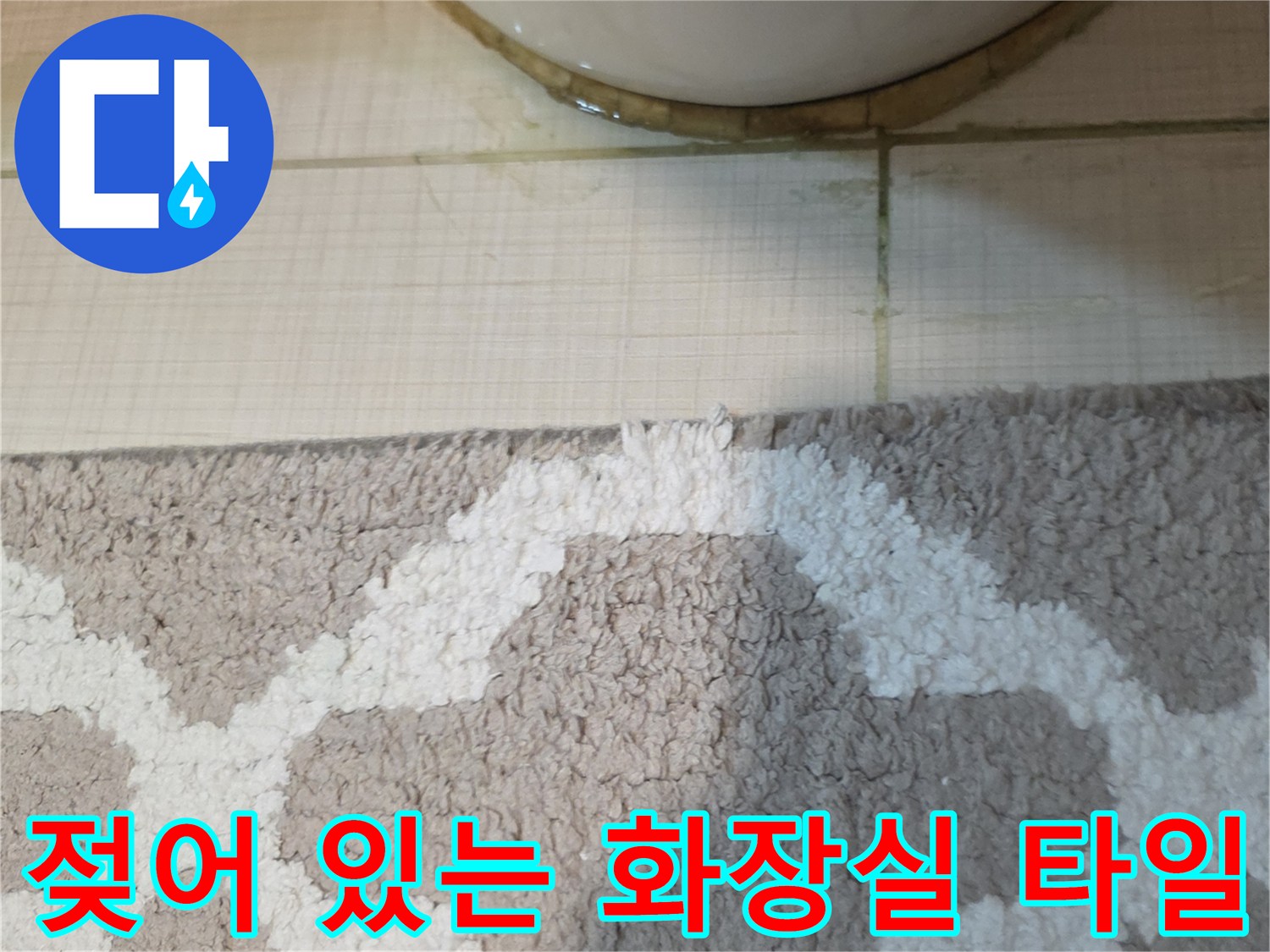 변기-앞쪽-타일-틈새의-축축한-상태