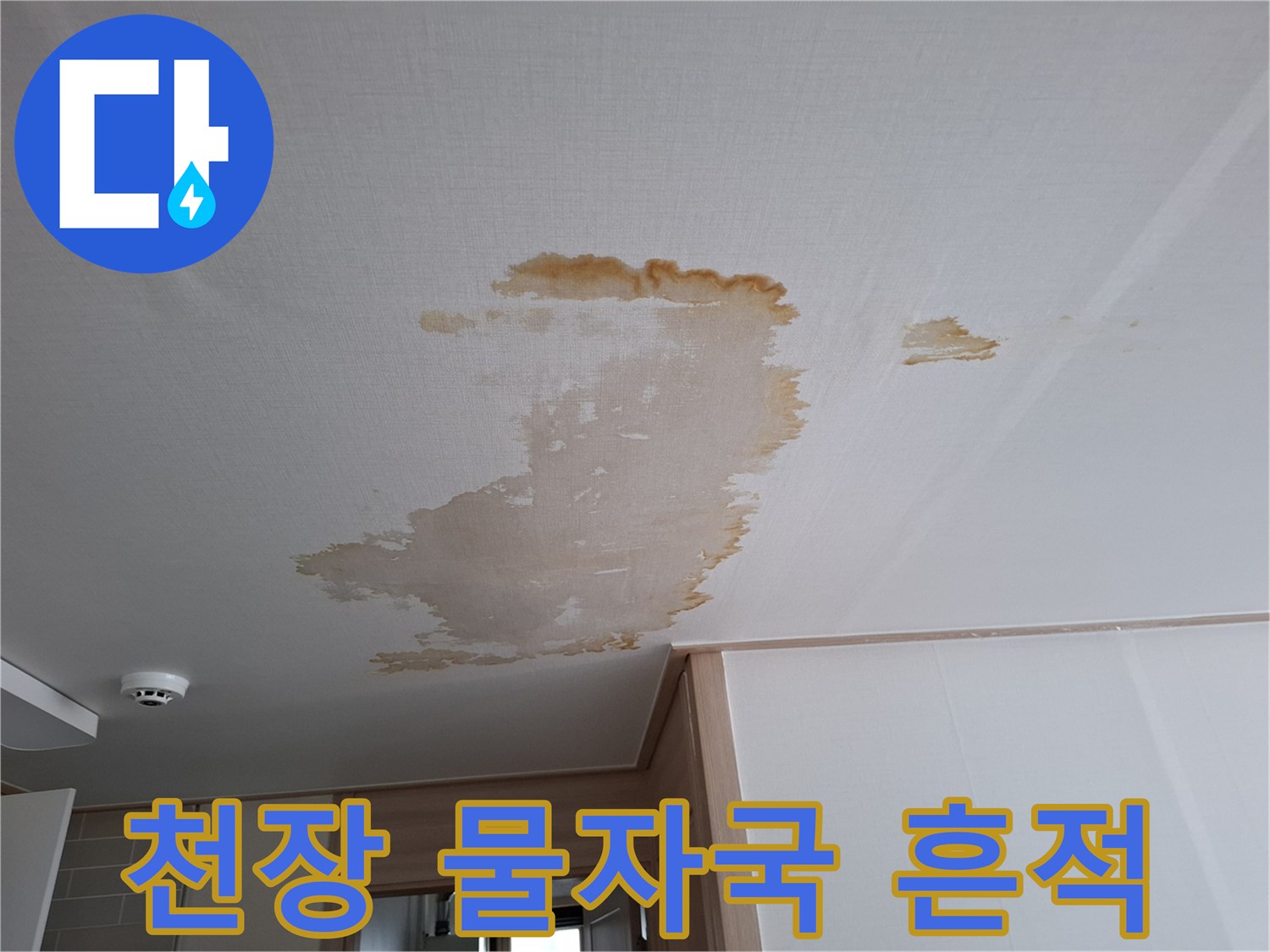 갈색으로-번진-천장-누수-영역