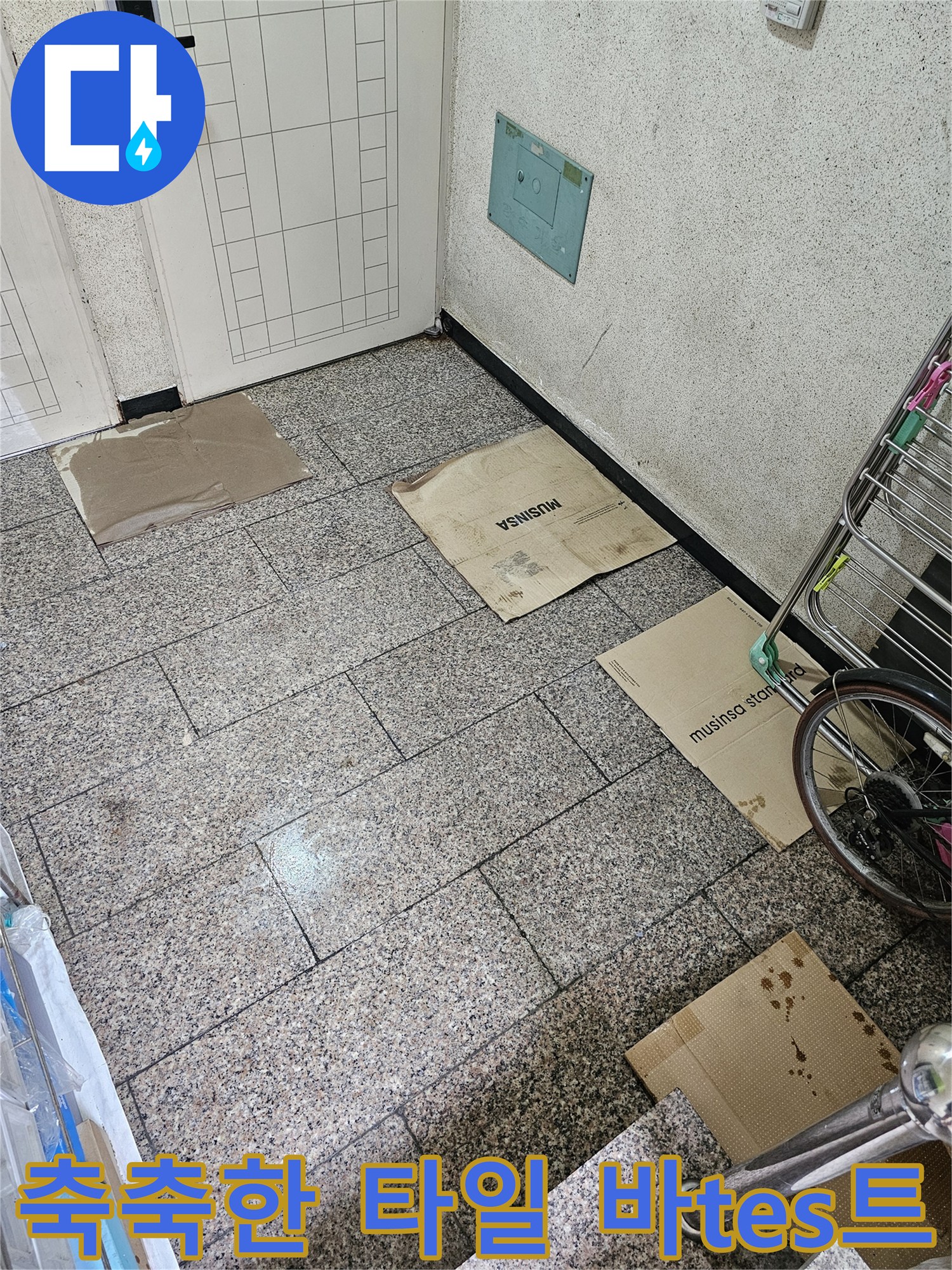 물기가 스며든-현관 바닥 타일