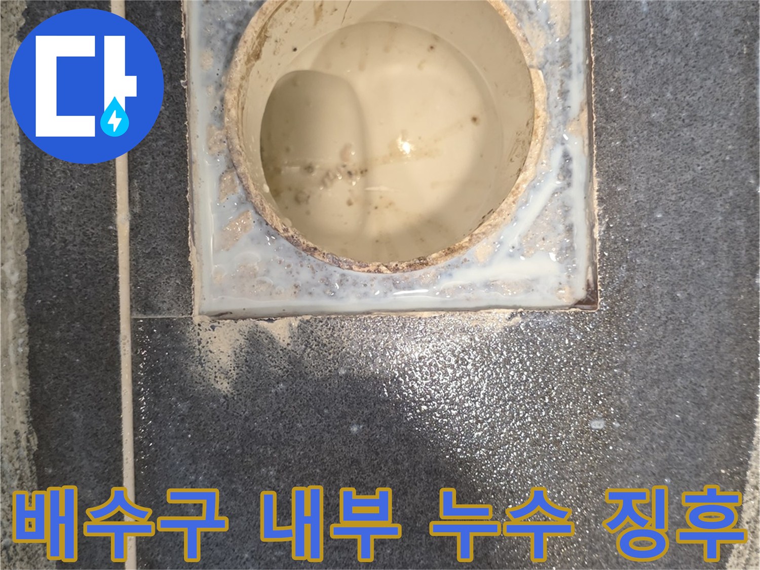 화장실-바닥-배수관-연결부-틈새-발견