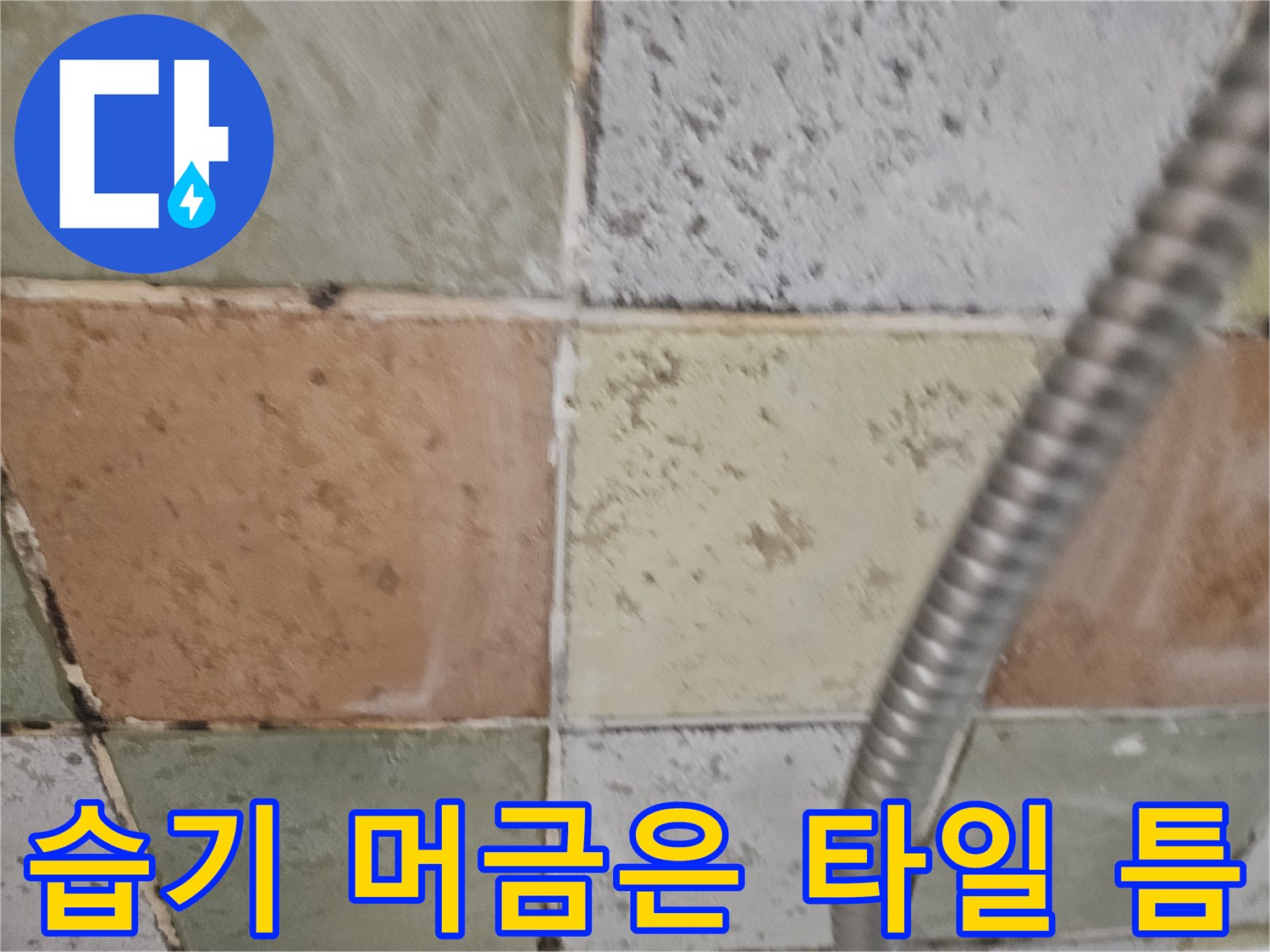 물기가-스며든-욕실-타일-줄눈-상태