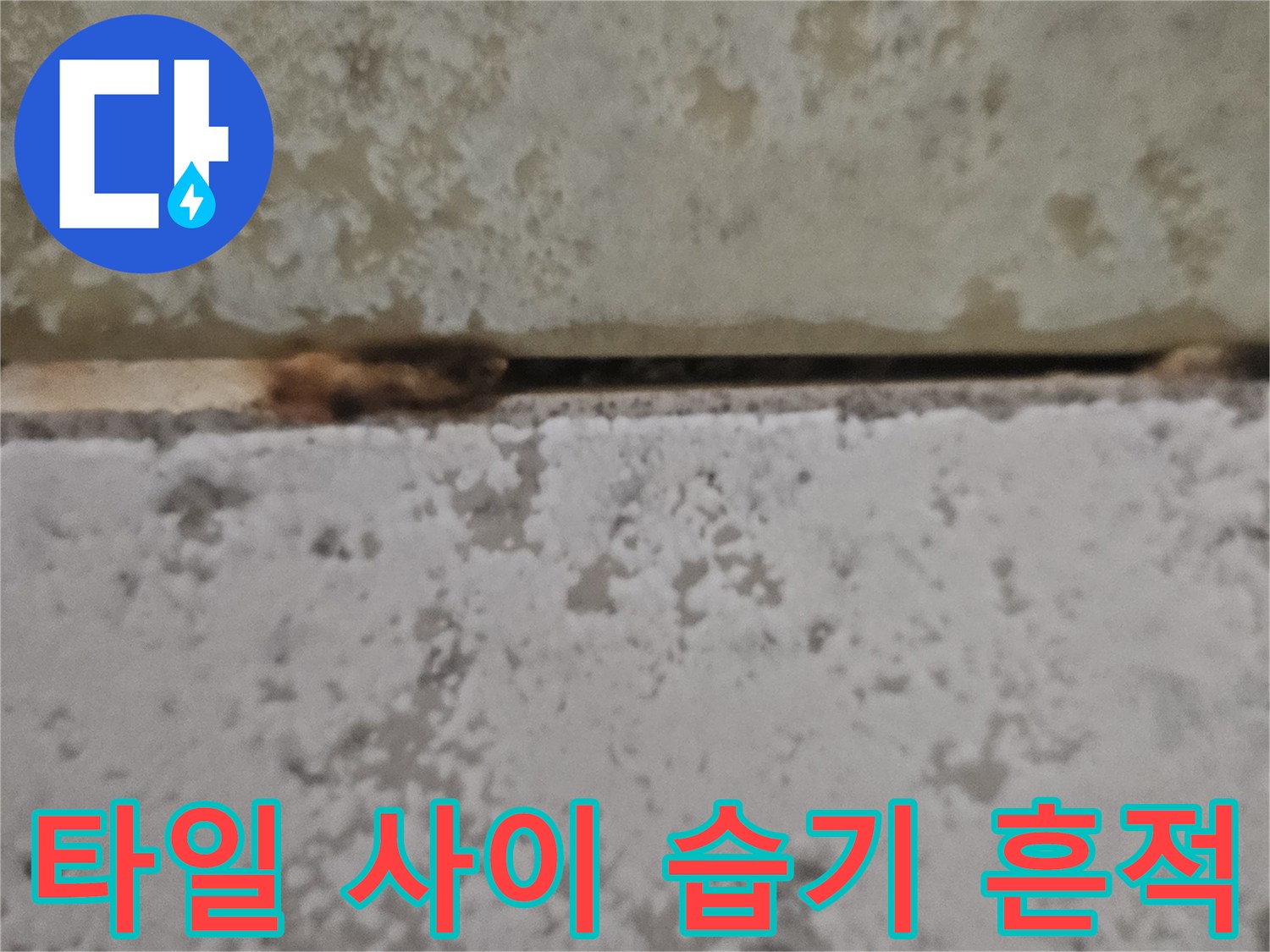 화장실-타일-사이-습기-침투-부위