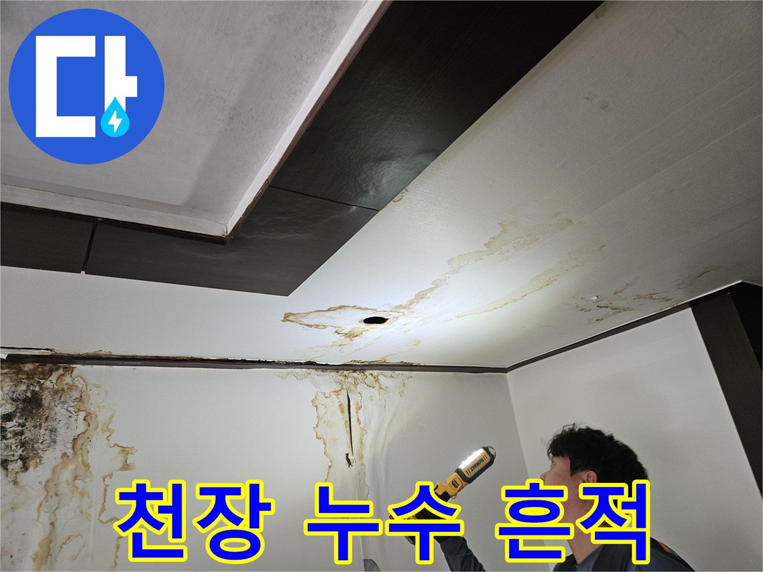 아래층 천장재-갈색으로 변한 물 얼룩과 곰팡이 부위