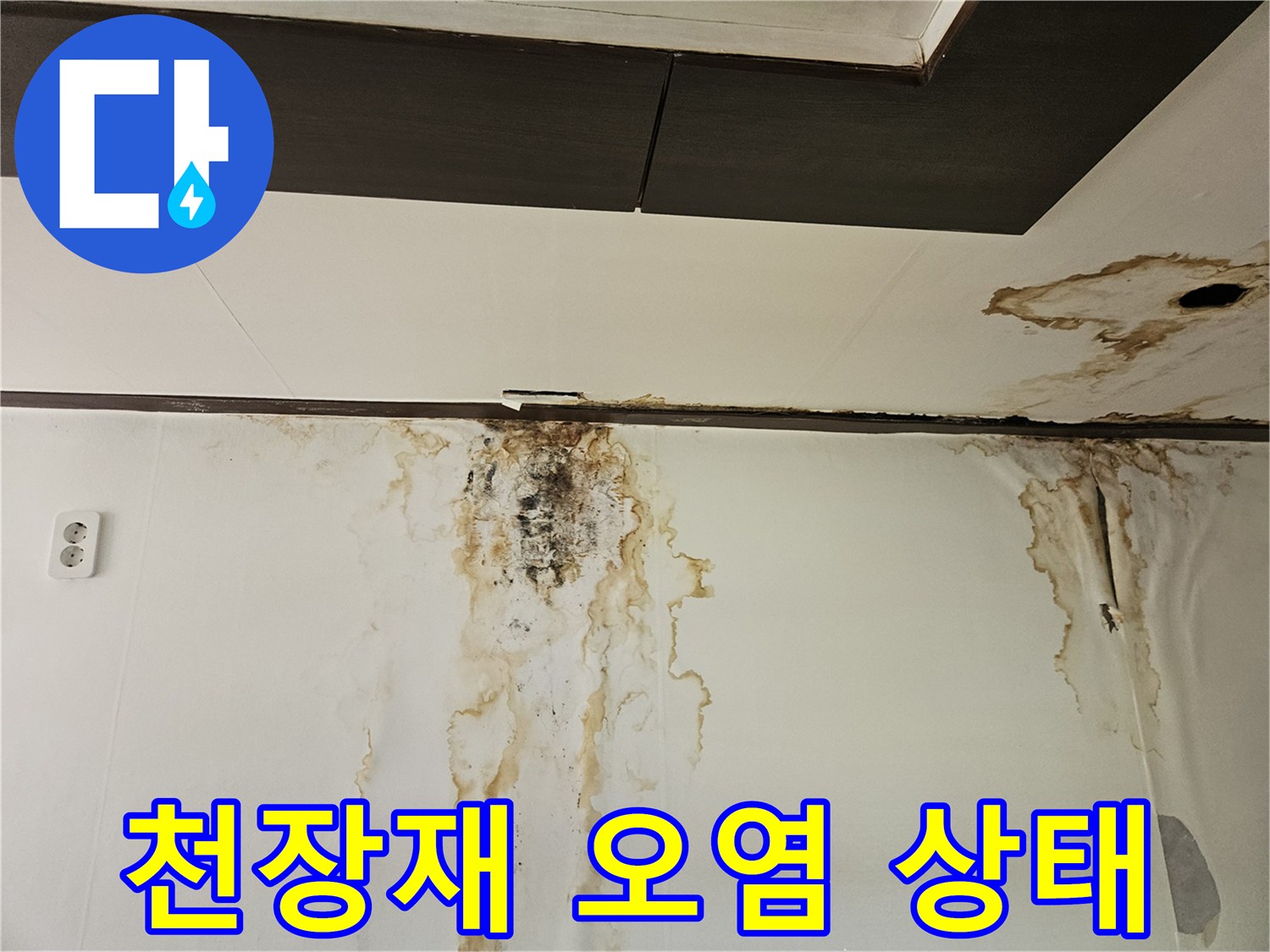 천장-마감재-및-벽면-오염된-물자국