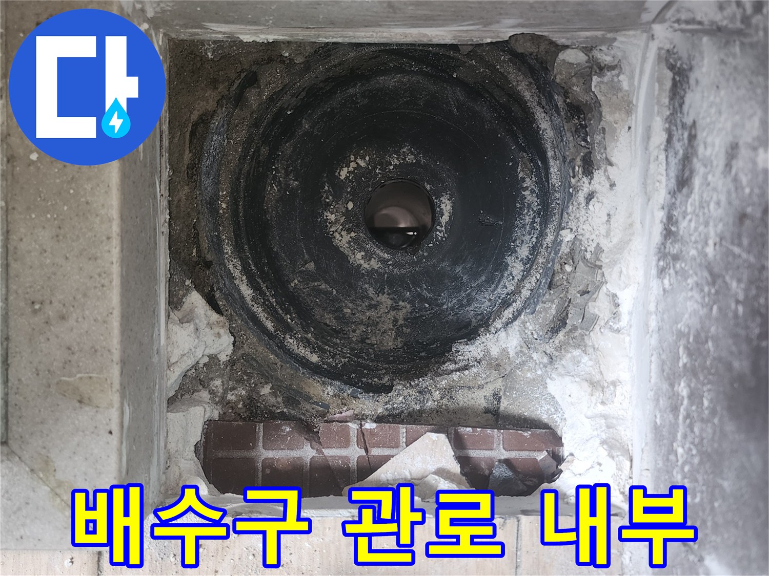 하수관 주변-탈거된 유가 안쪽 모습