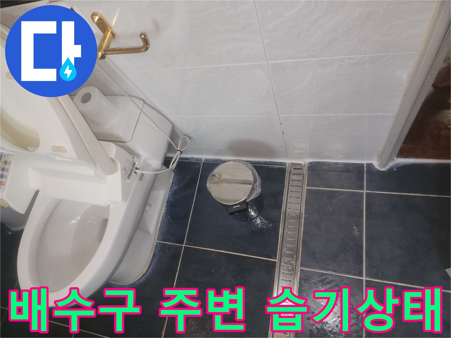 화장실-배수구-주변-타일-사이-물고임-현상