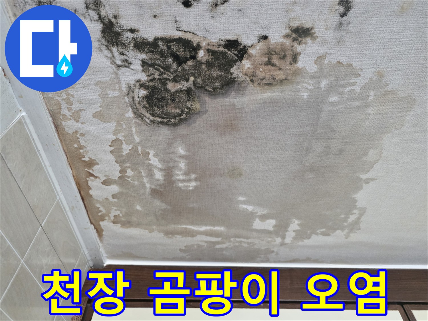 심한 물샘 흔적이 남은 천장 벽지 사진