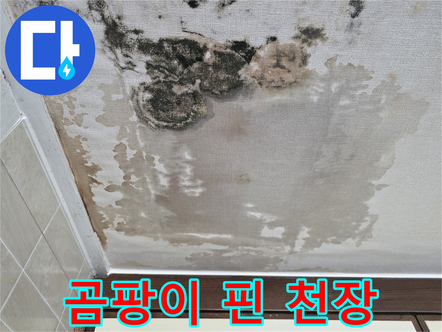 천장 벽지에 나타난 곰팡이와 습기 흔적