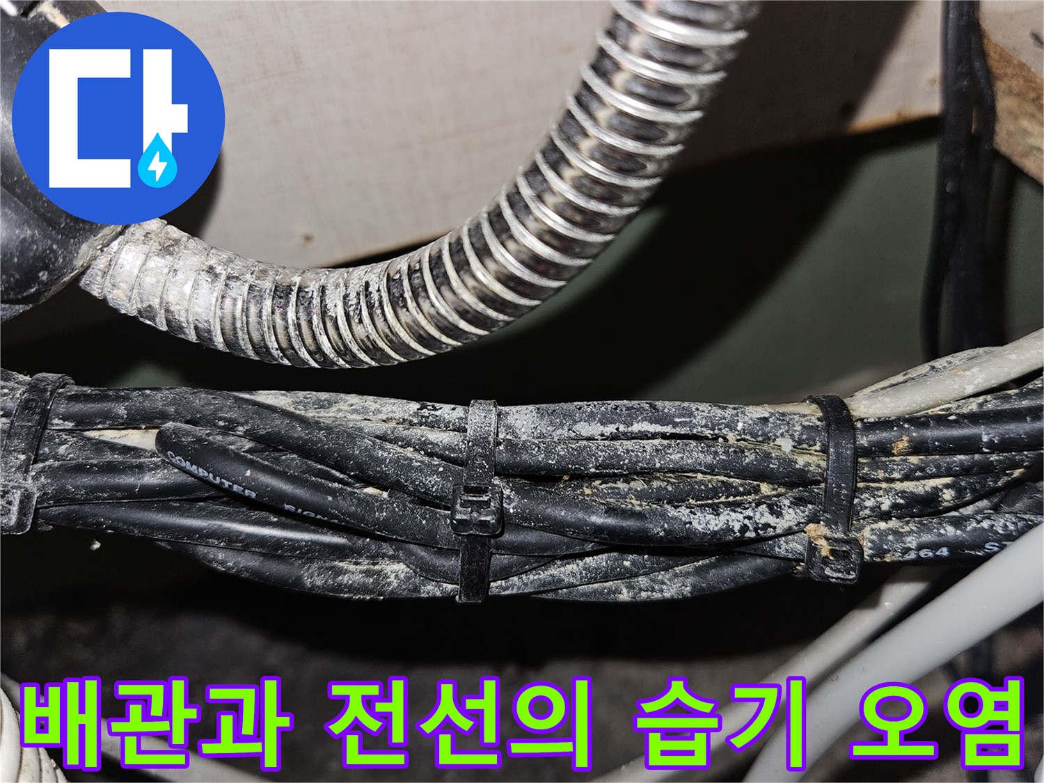 습기로 인해 먼지가 뭉친 배관 주변