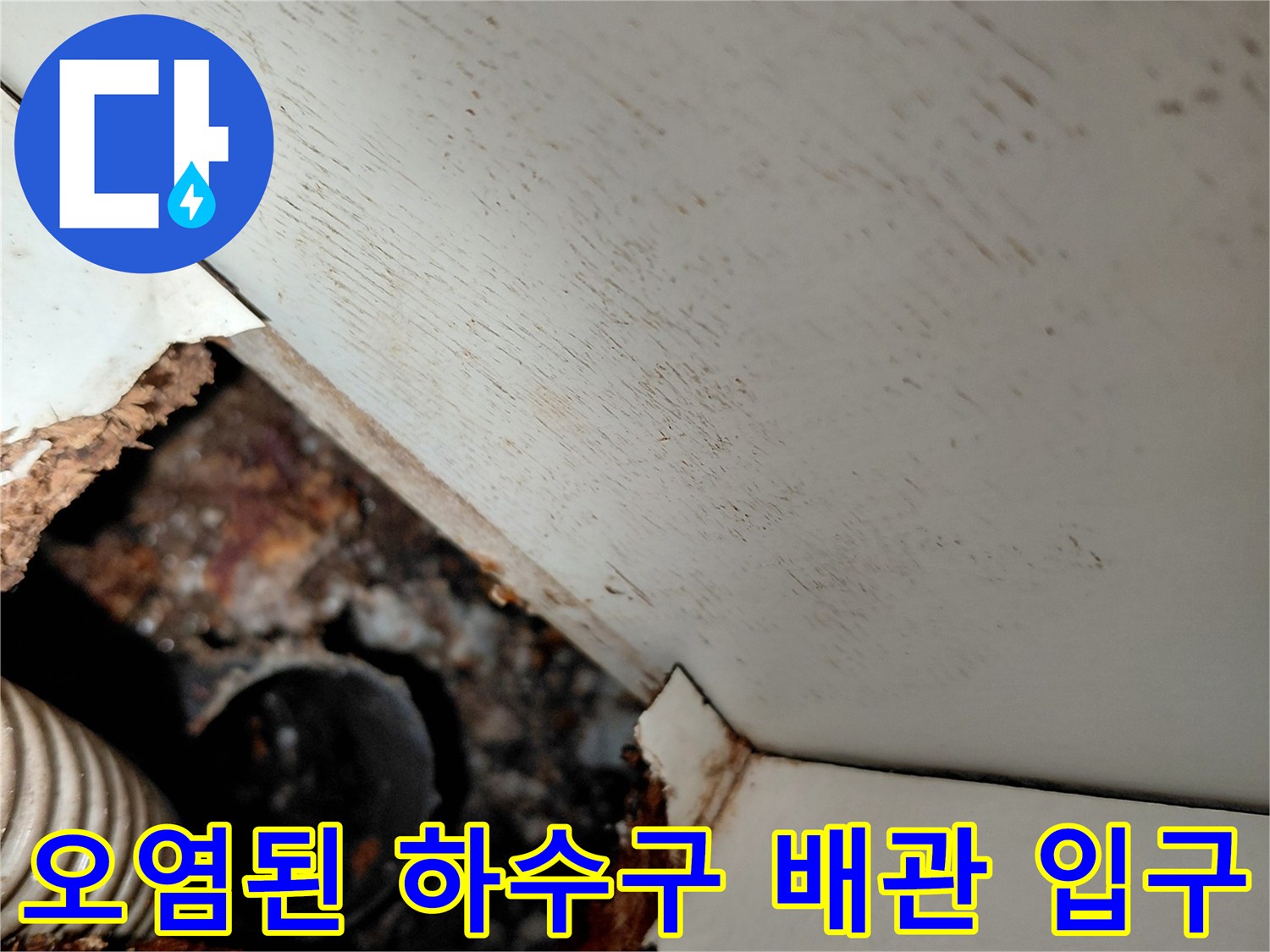 찌꺼기가-보이는-싱크대-하단-배관-입구