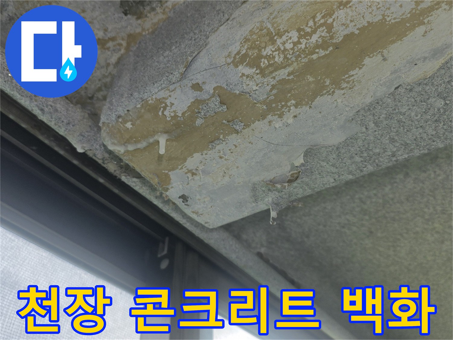베란다-천장-콘크리트-슬라브의-백화-및-젖음