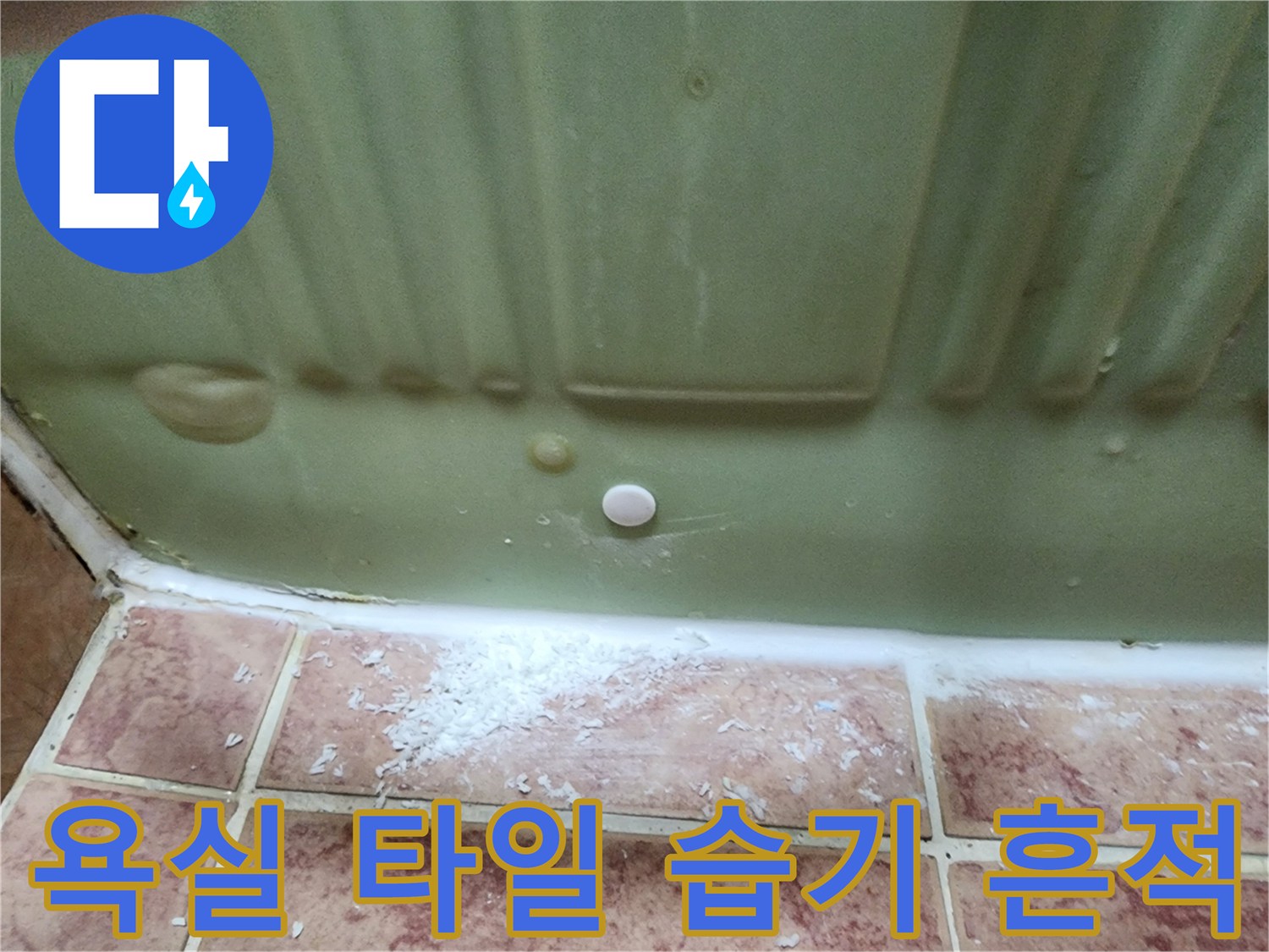 욕실 벽면 패널-하단부 물맺힘 및 습기 침투 부위