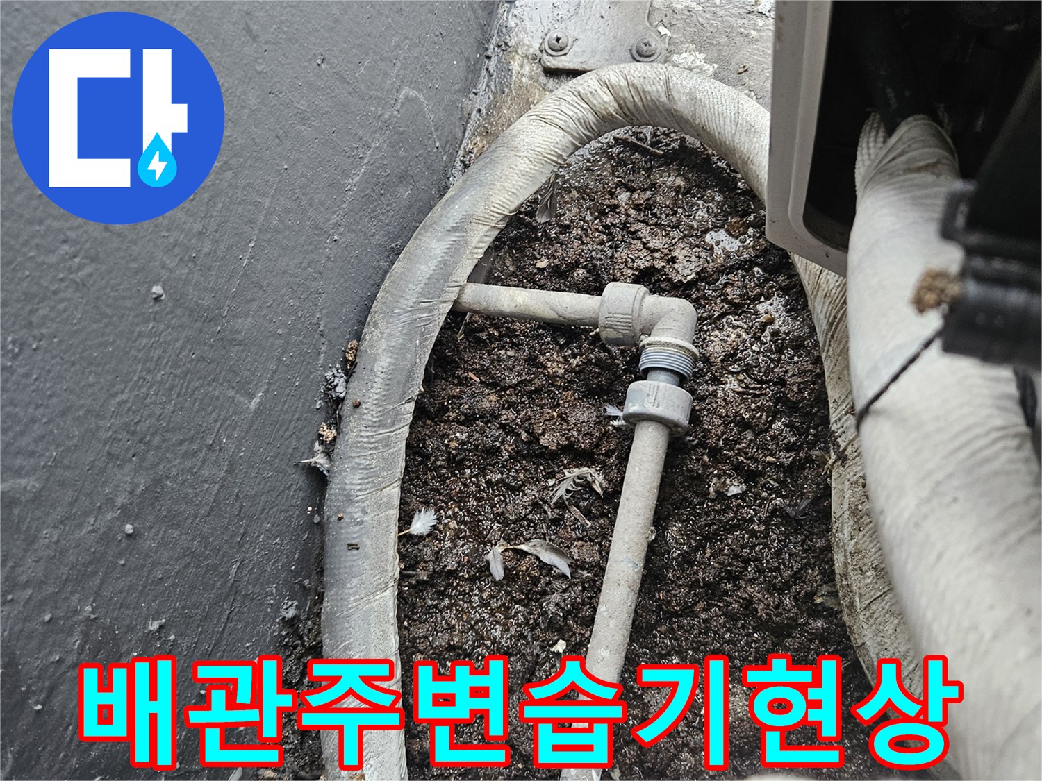 물기가 스며든 배관 주변의 젖은 바닥 모습