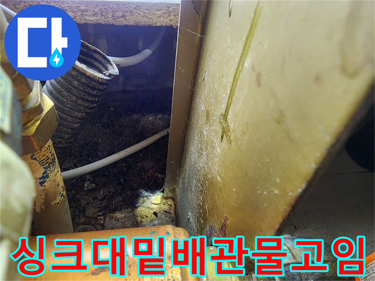 싱크대-하부-배관-주변의-축축한-오염물
