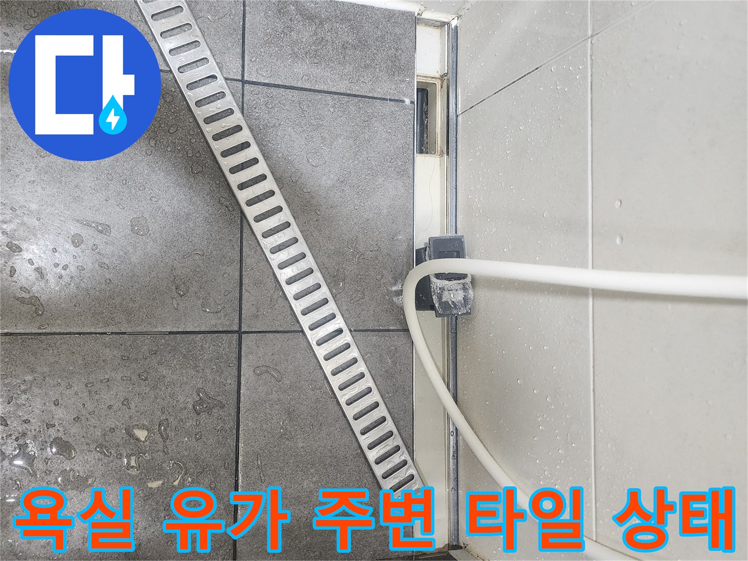 화장실-배수구-부근-타일-습기-확인