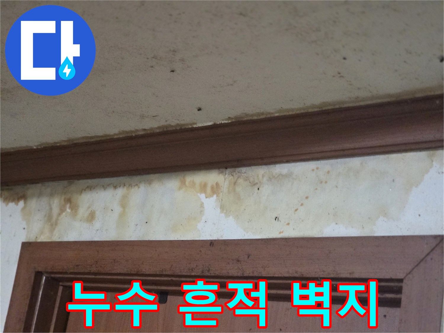오정구 현장-물샘으로 젖은 벽면 상단