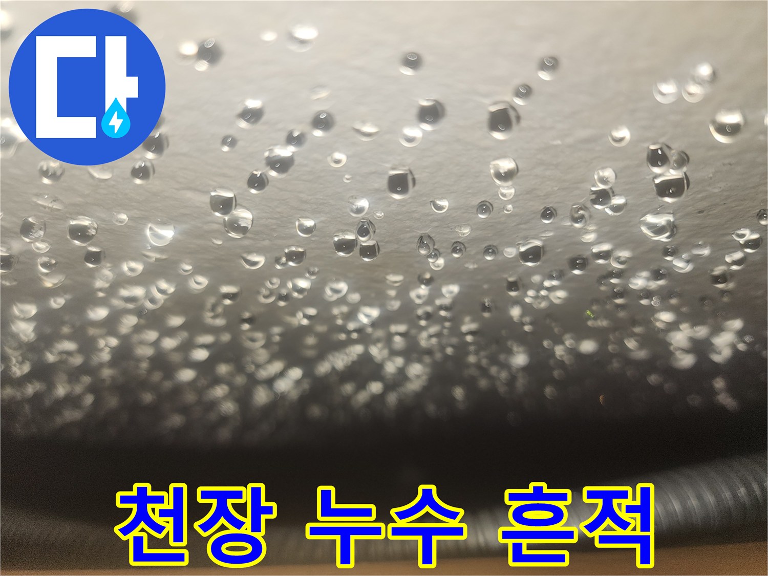 천장 표면에 맺힌 수분 방울들