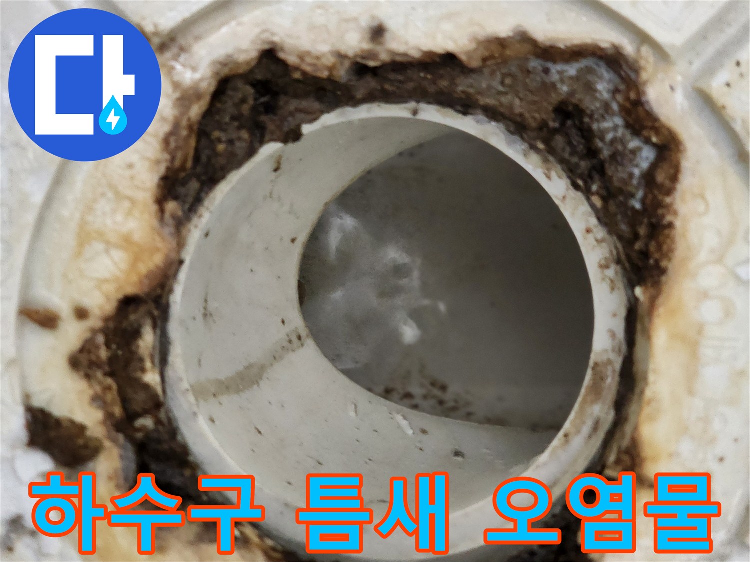 배수구-주변의-축축한-오염물과-이물질