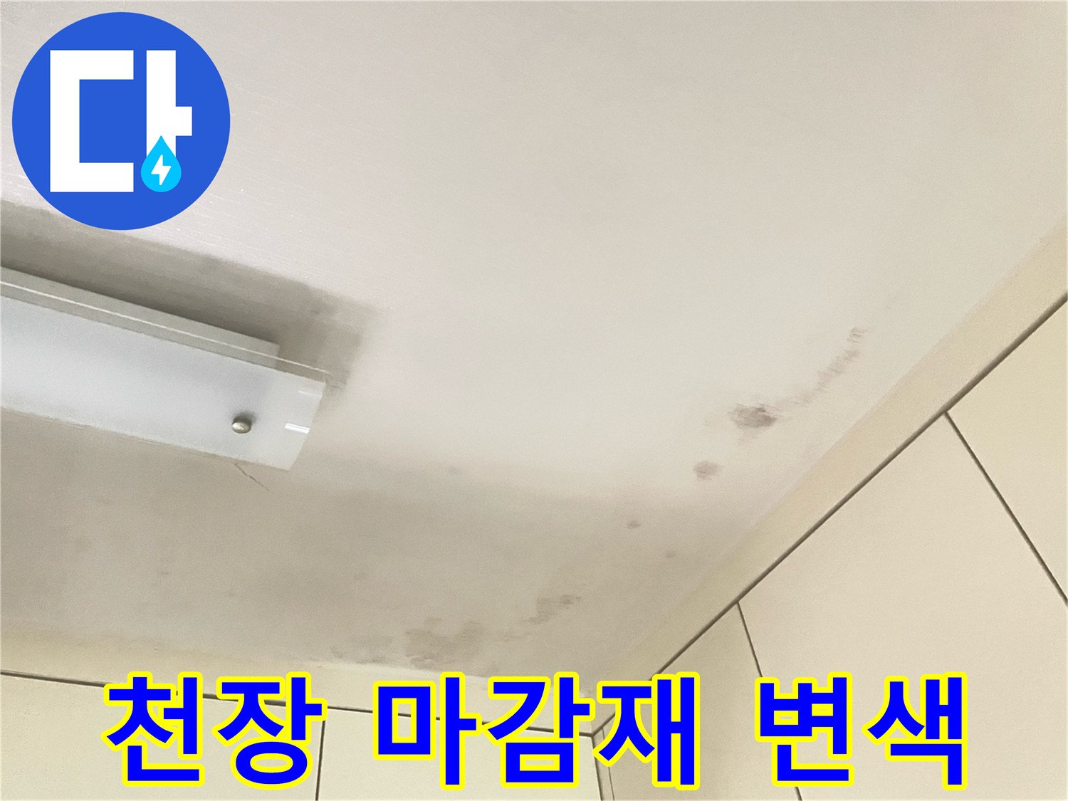 습기로 인해 짙게 변한 천장 마감재 부위