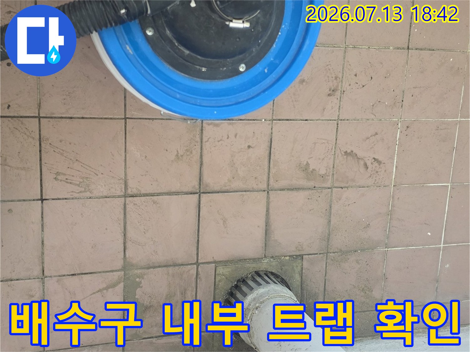 파란색 덮개가 있는 배수 구역과 연결된 세탁기 호스라인의 상세 모습