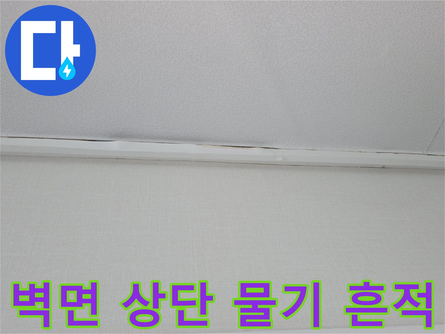 천장-몰딩-하단-벽지-부분의-습윤한-상태