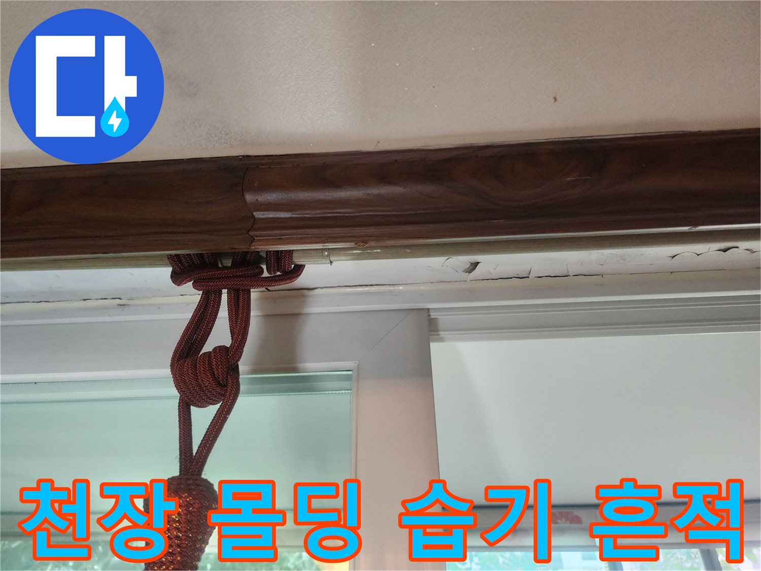천장 몰딩 부근의 물스며든 자국 상세 촬영