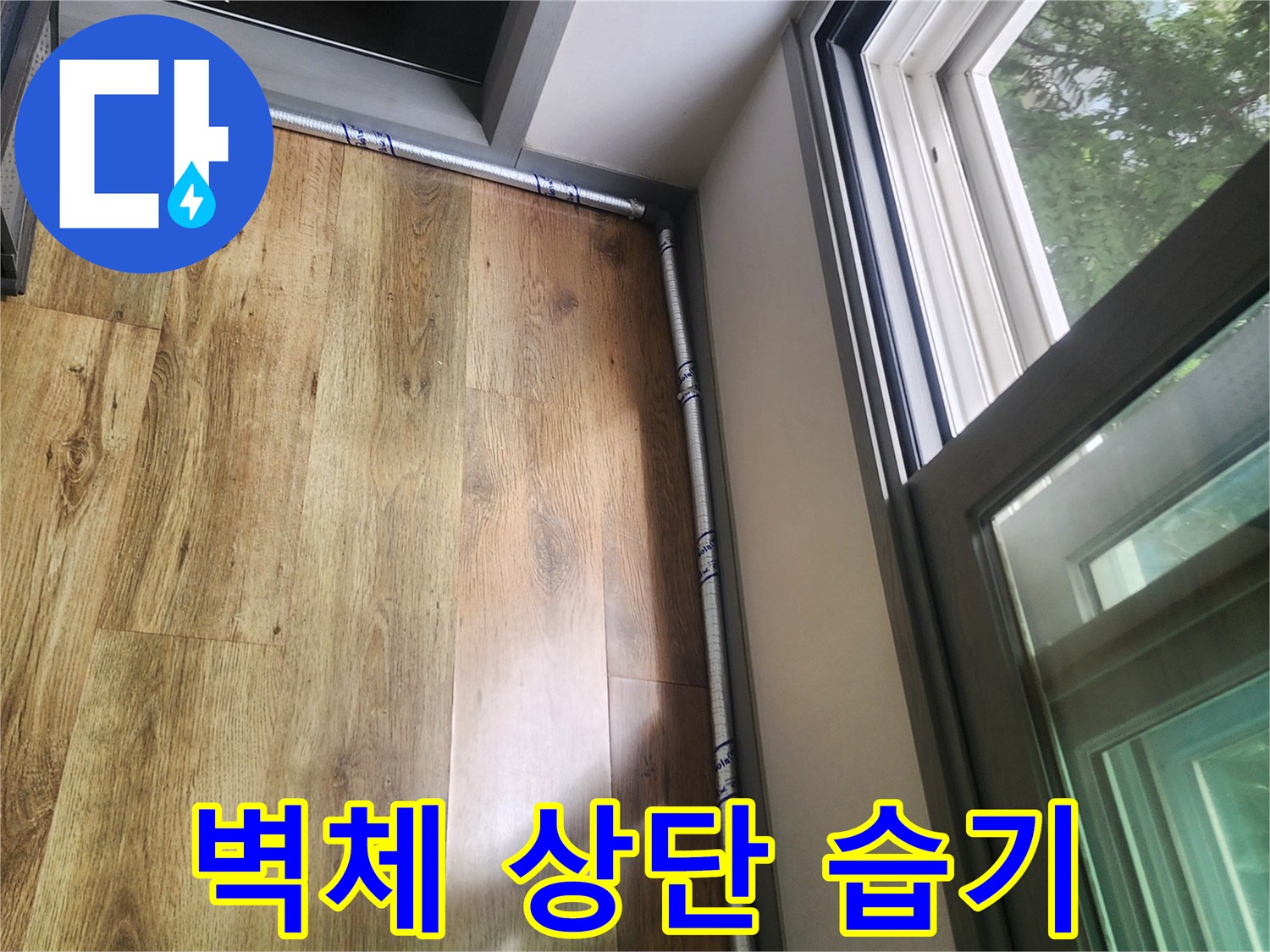 천장-몰딩-부근의-습윤한-상태