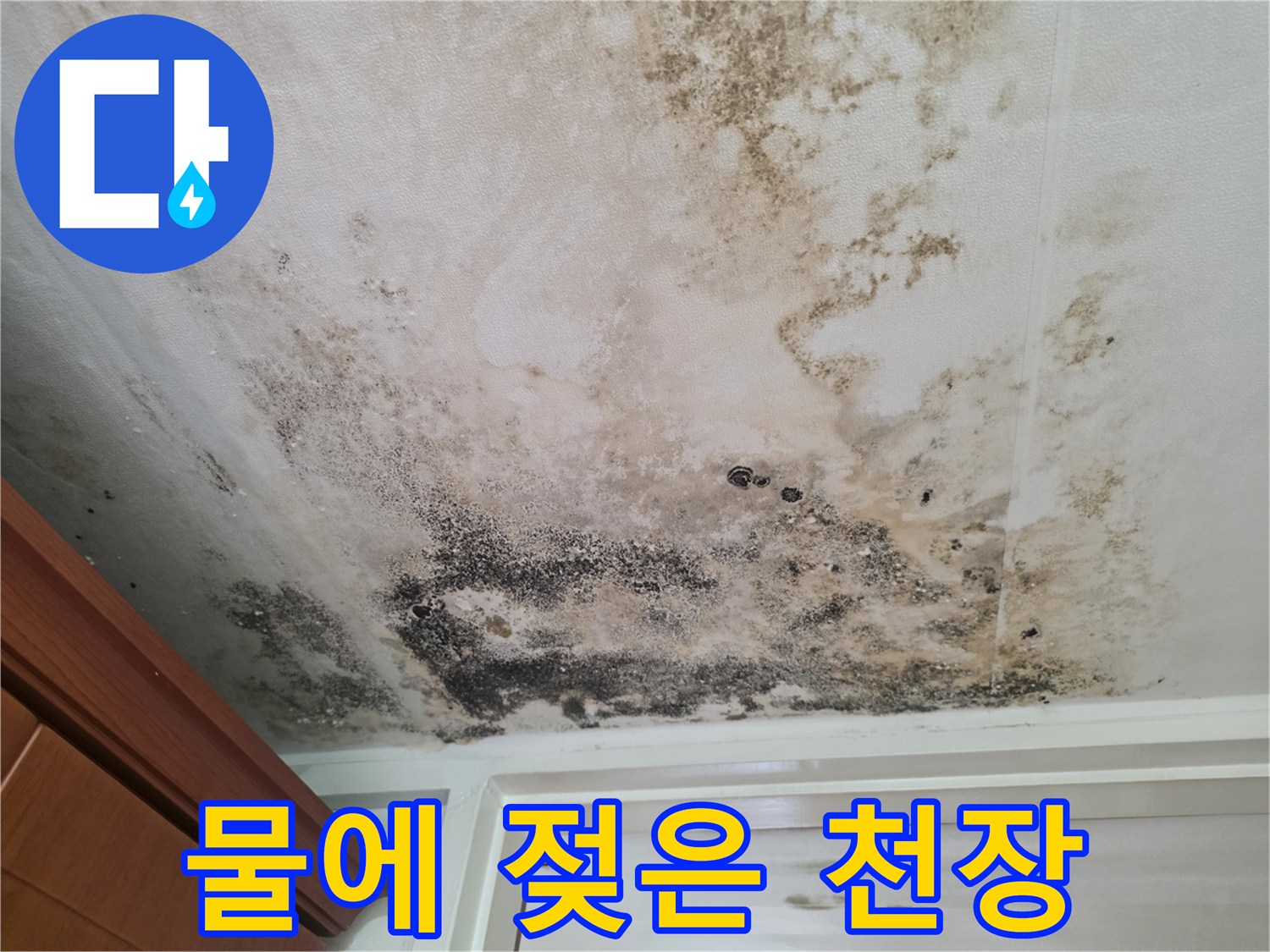 심하게 변색된 천장 벽지와 곰팡이 흔적