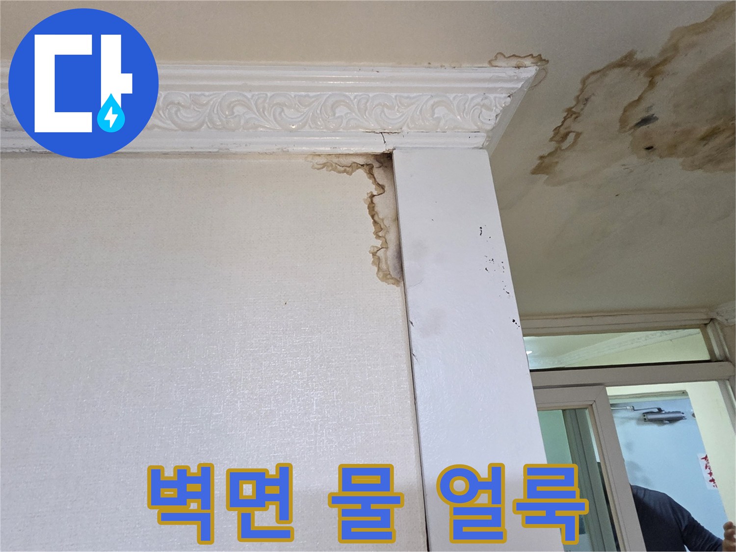 물-침투로-인한-벽면의-짙은-얼룩