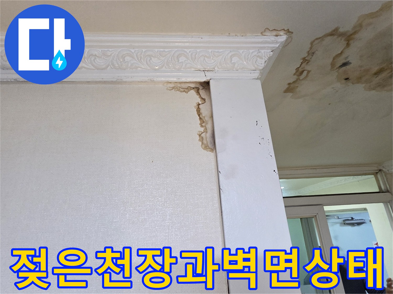 천장-몰딩-및-벽체-경계의-물자국-사진