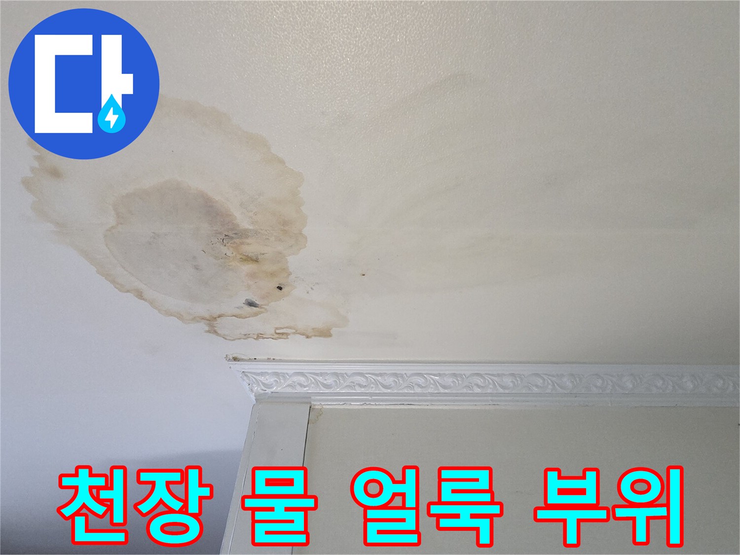 천장-표면에-넓게-퍼진-누수-흔적과-물자국