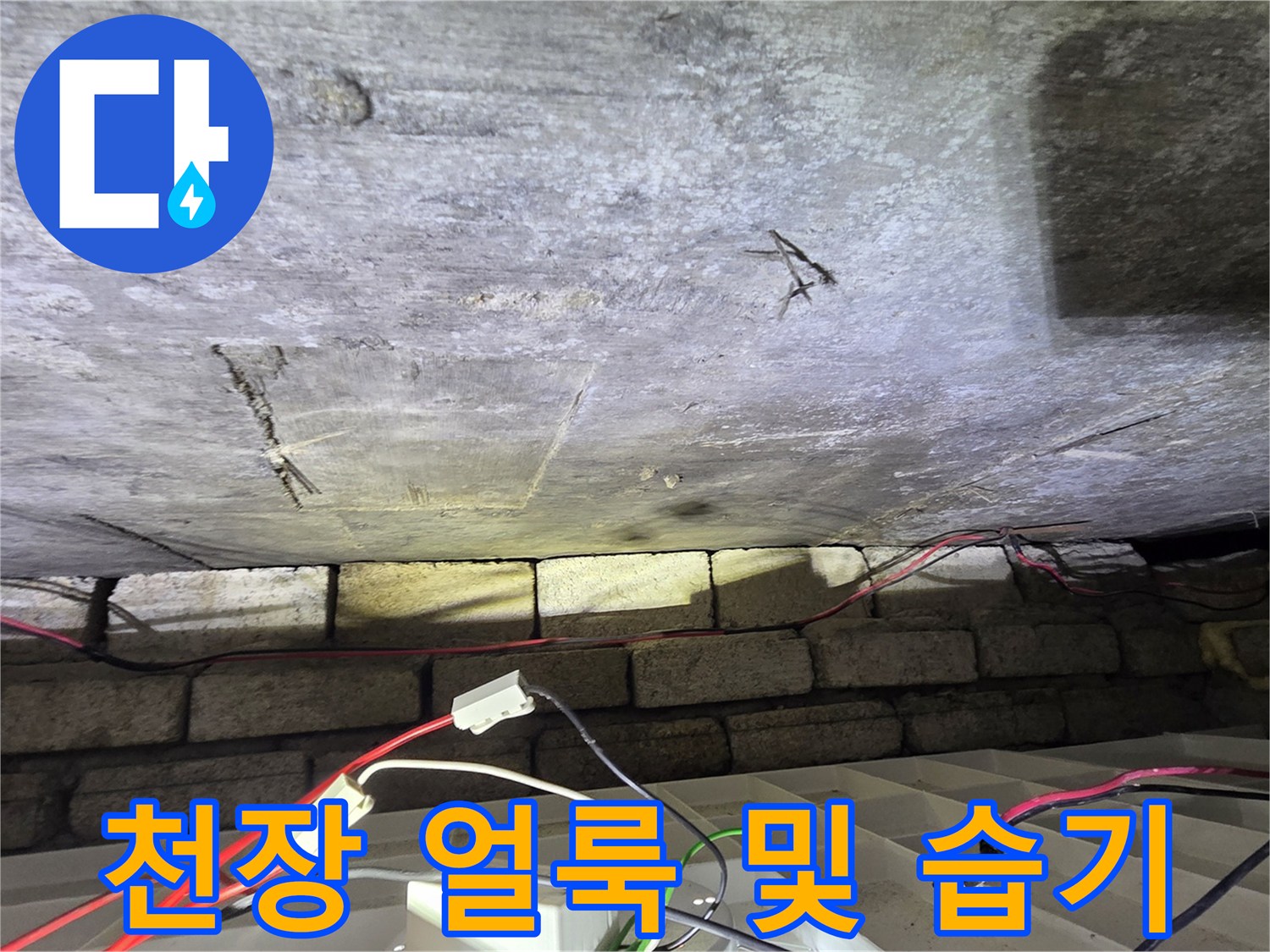 축축하게 젖어 있는 화장실 상부 구조물 모습
