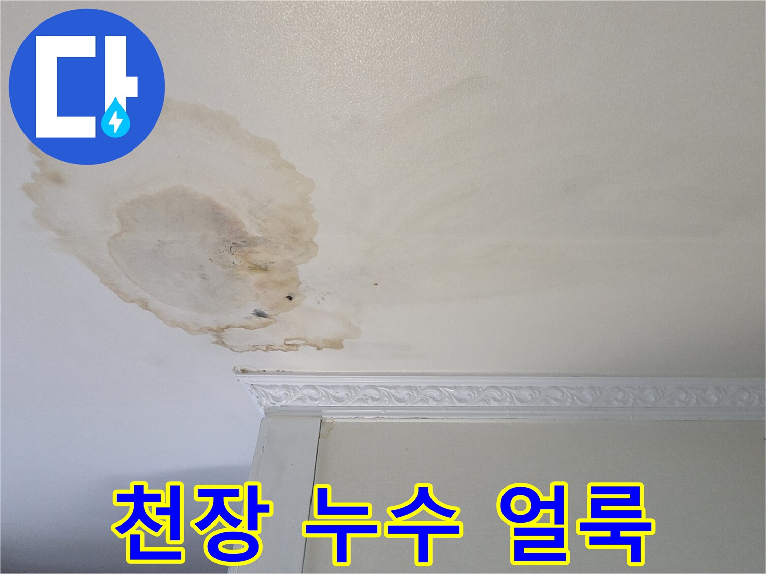흰색 천장에 발생한-갈색의 넓은 물 얼룩